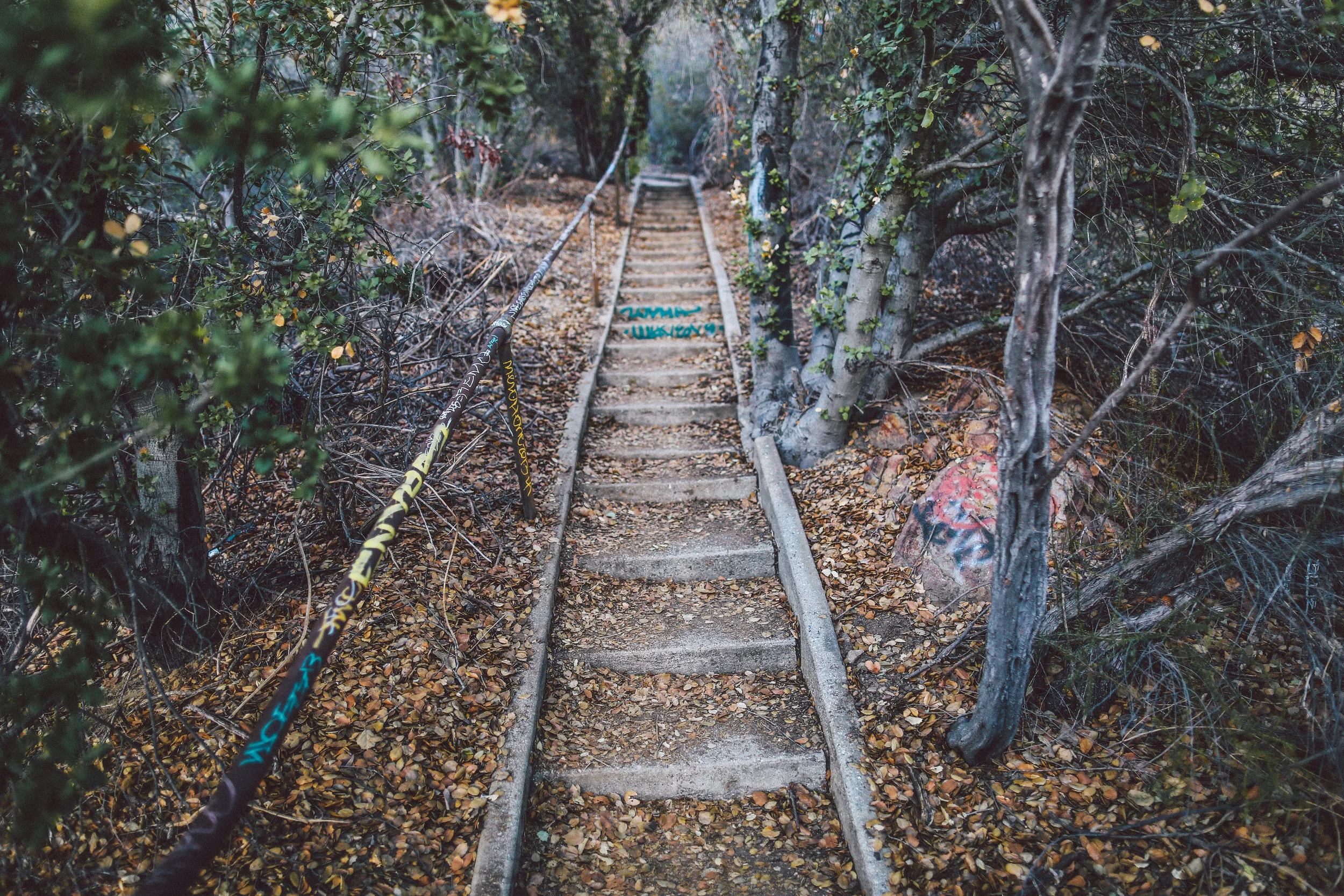 Trails.jpg