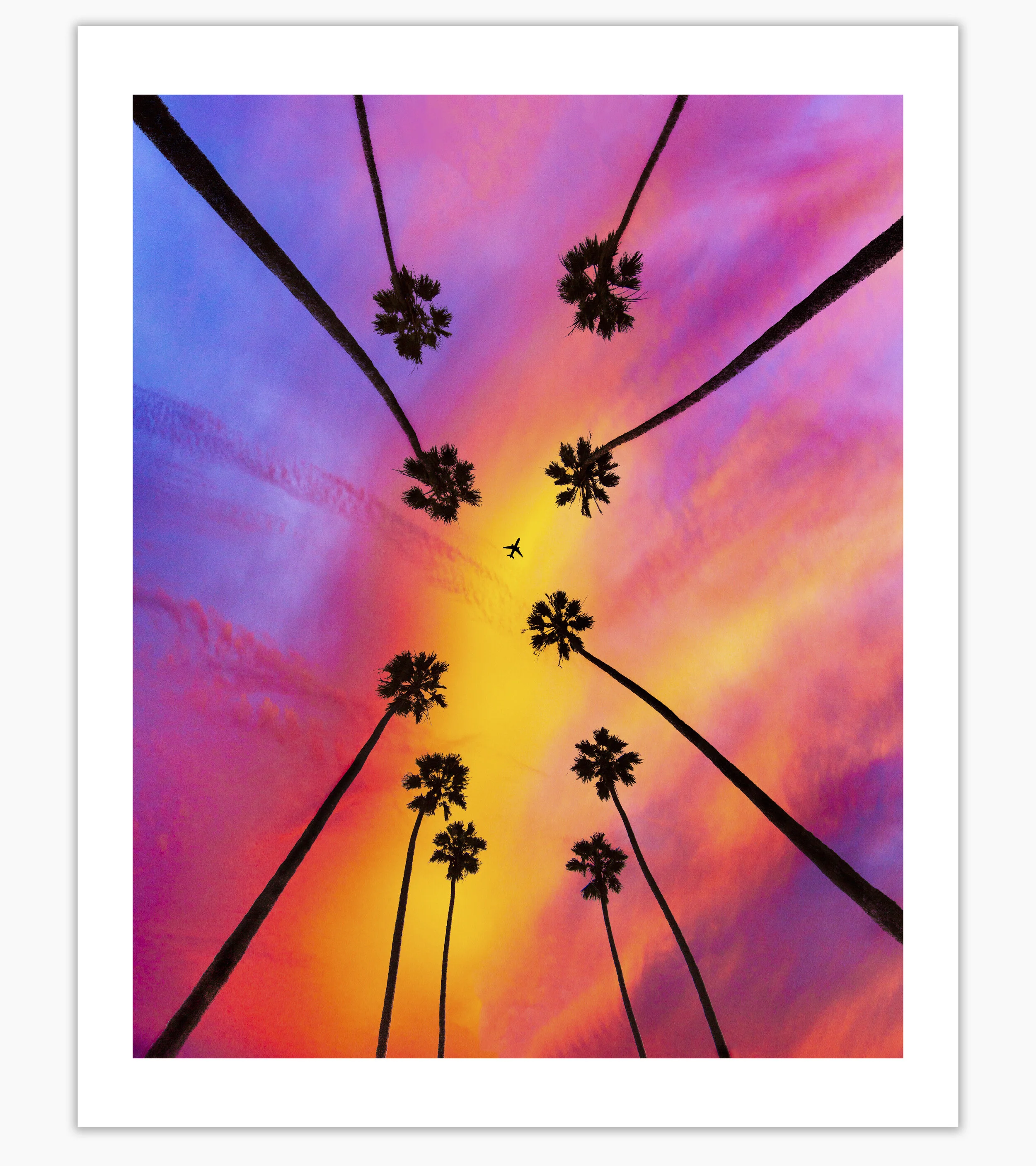 PAOLO_FORTADES__STORE_TEMPLATE_PRINTS_PALM_PILOT_RECROP.jpg