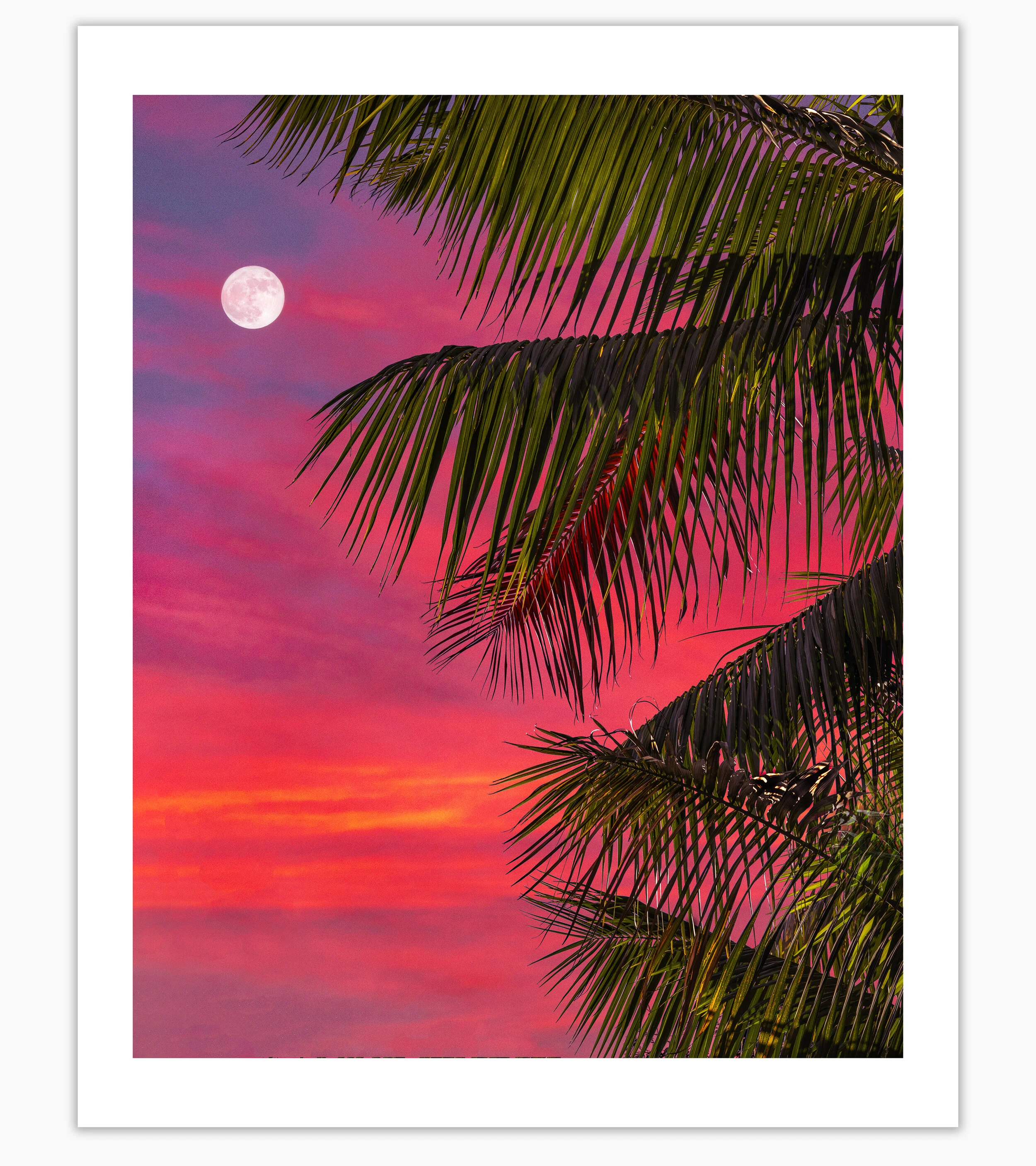 PAOLO_FORTADES__STORE_TEMPLATE_PRINTS_KEEP_PALM_RECROP.jpg