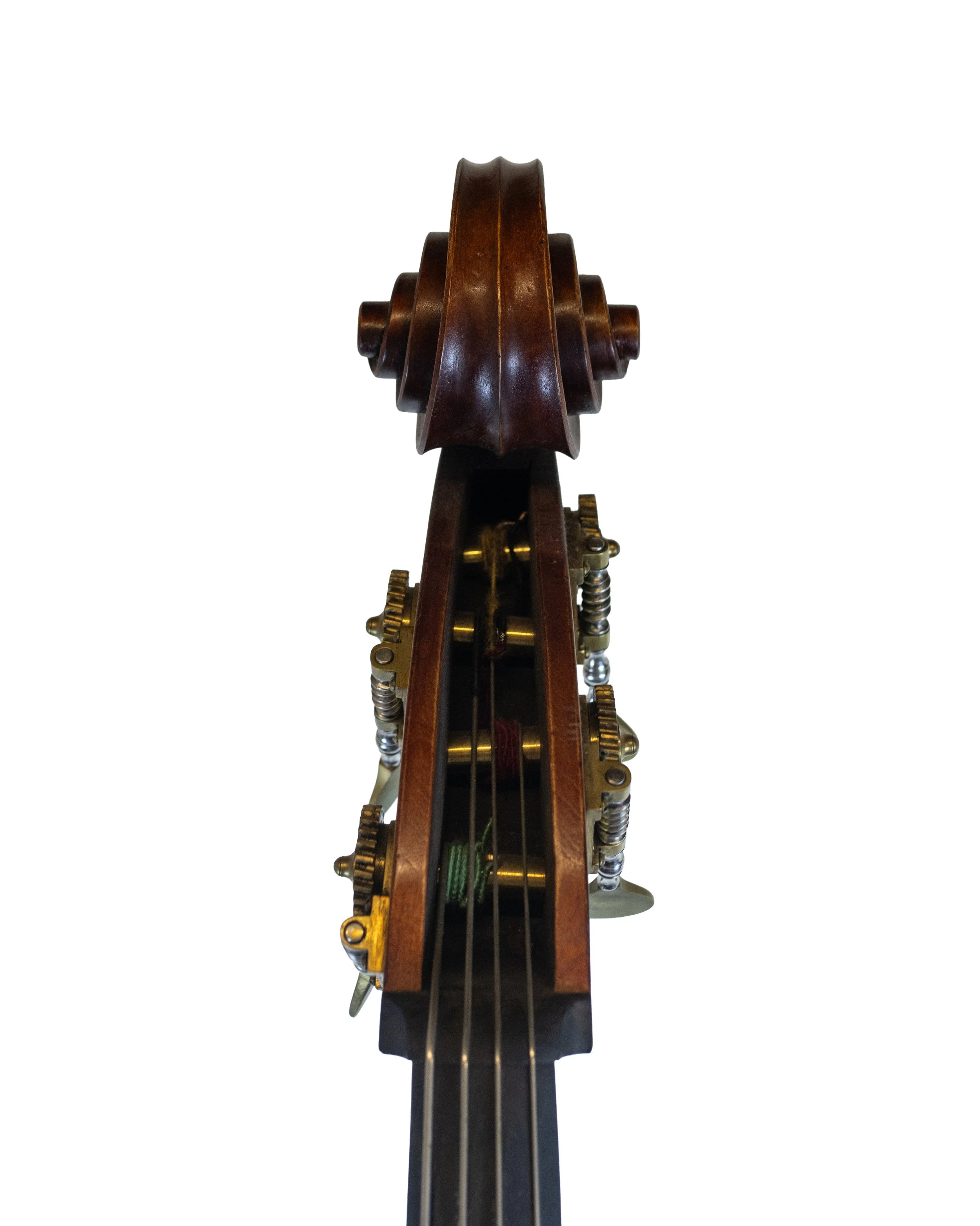 bass-04.jpg