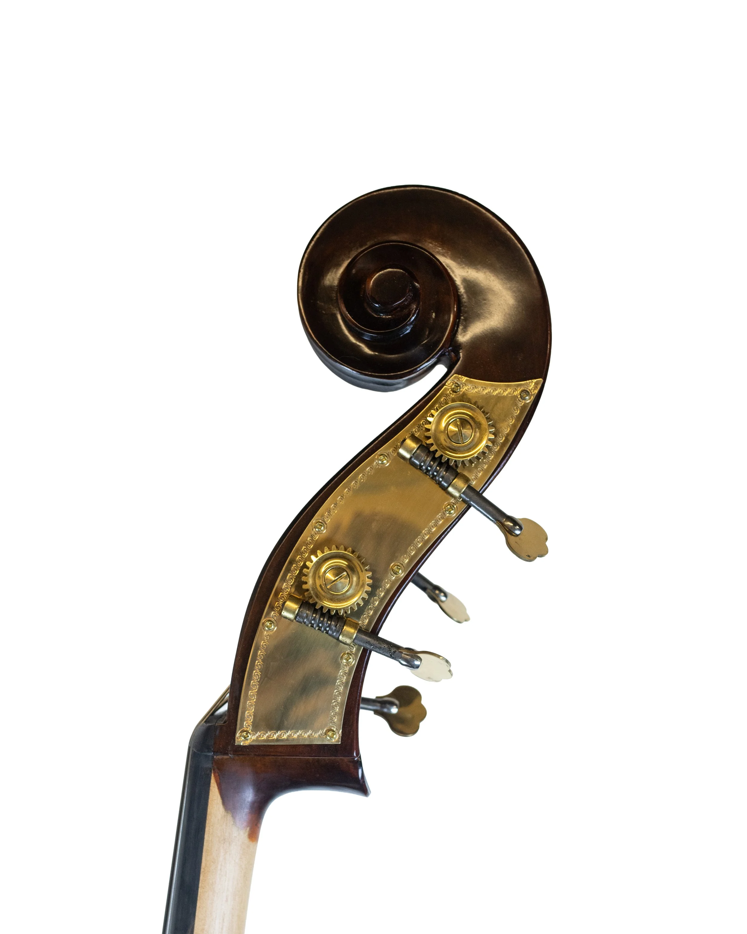 bass-38.jpg