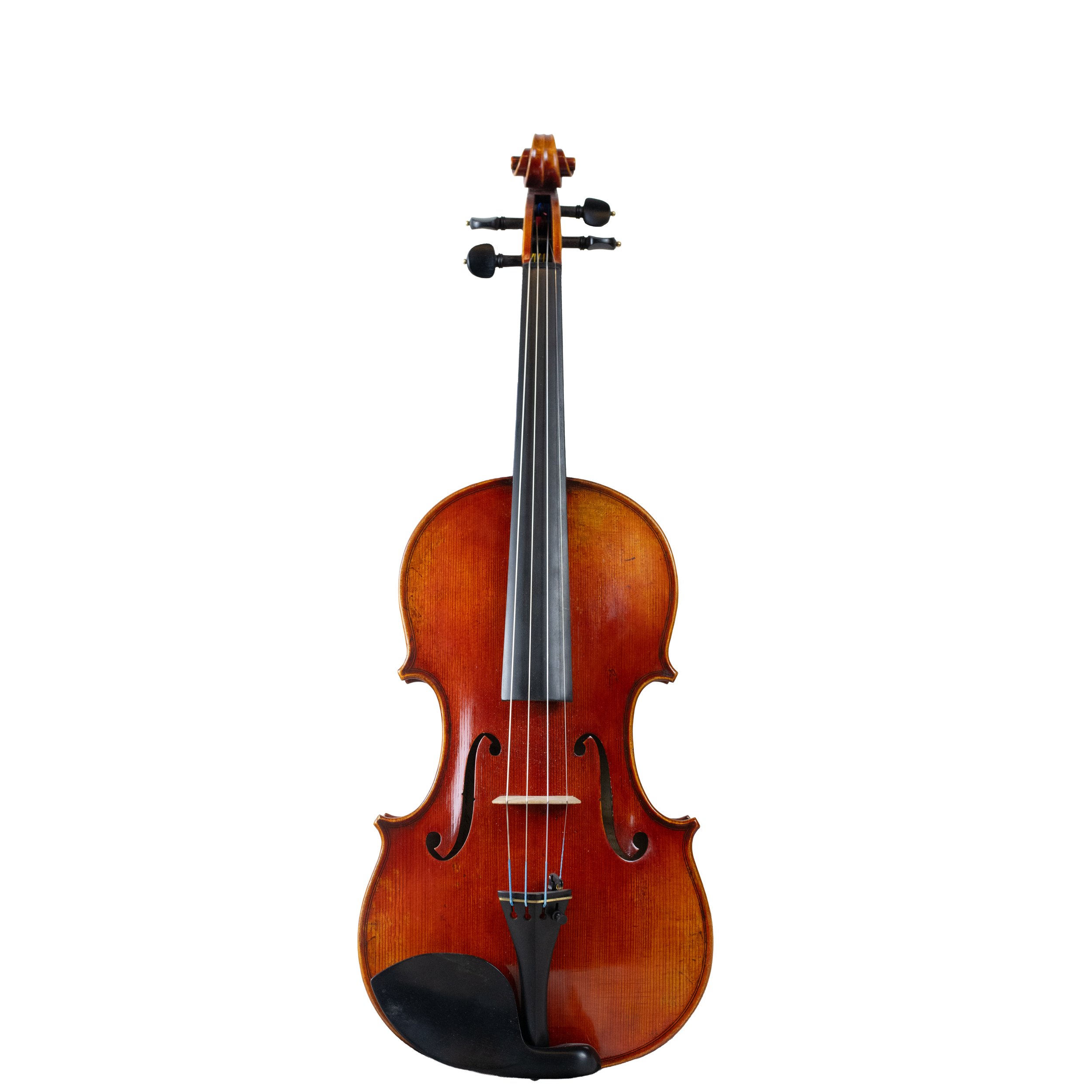 fredrich wyss-10.jpg