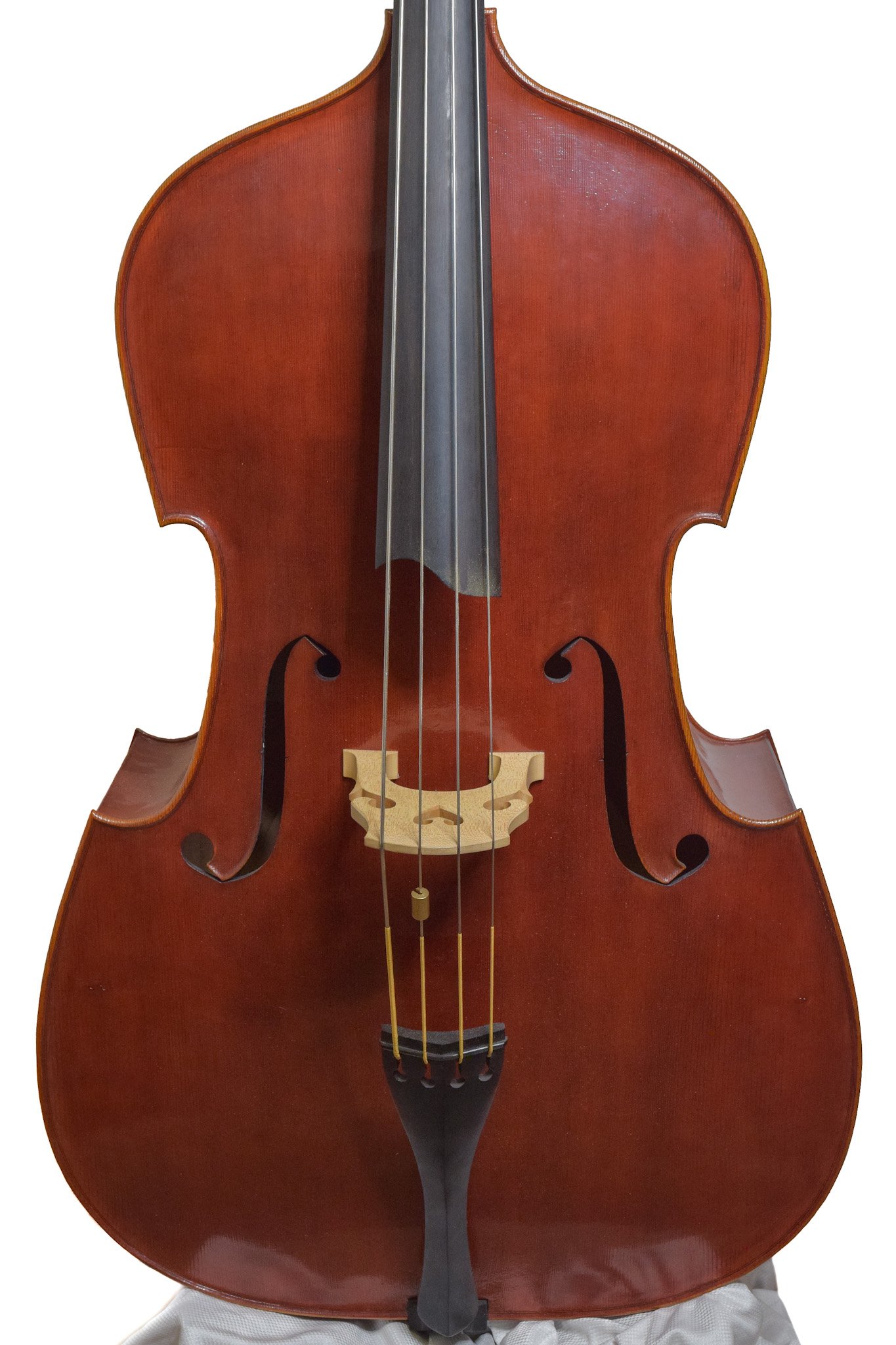 Gael McKeon 2022 Bass — Finlay + Gage Musical Instruments