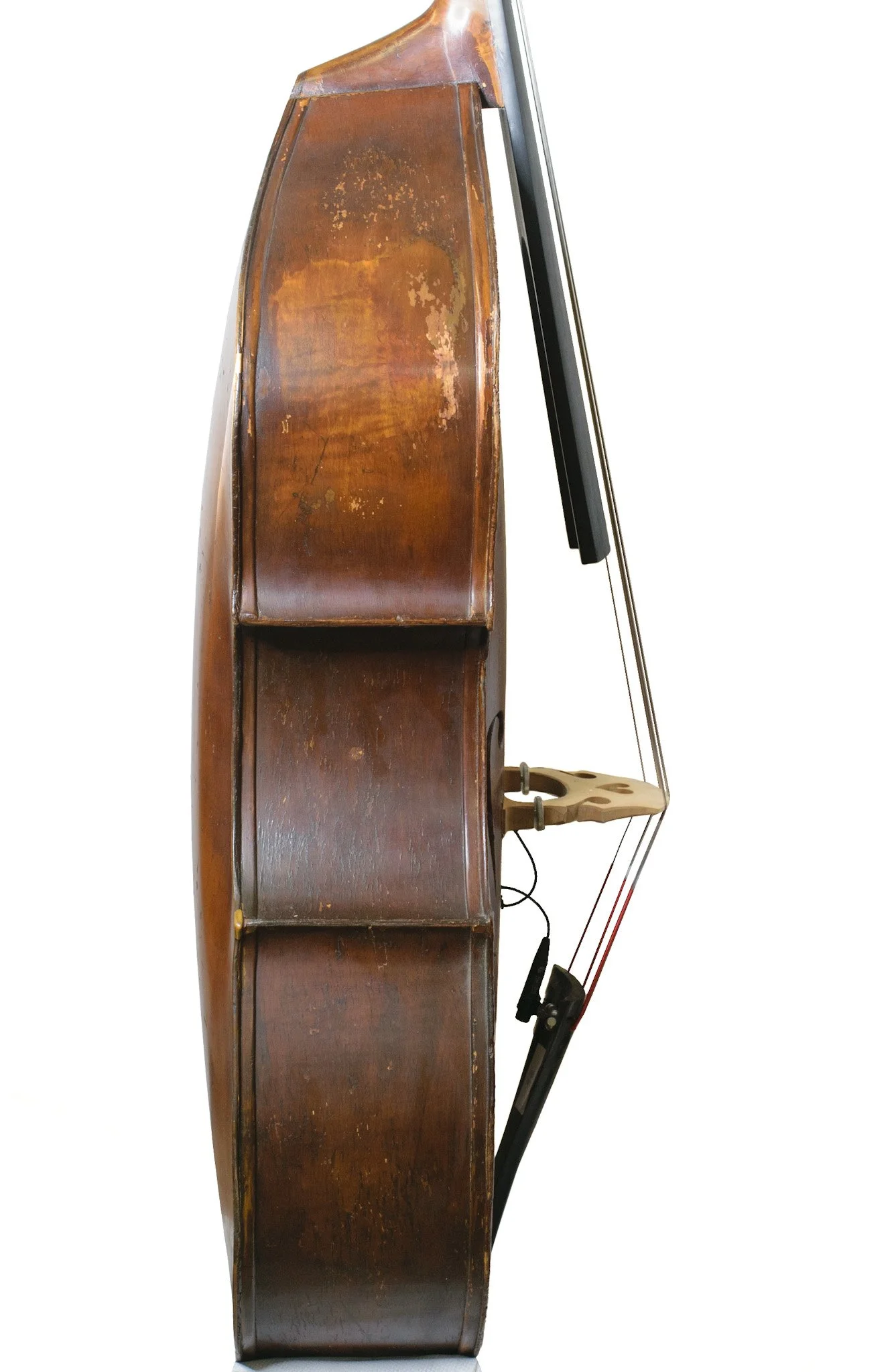 King Plywood Bass — Finlay + Gage Musical Instruments