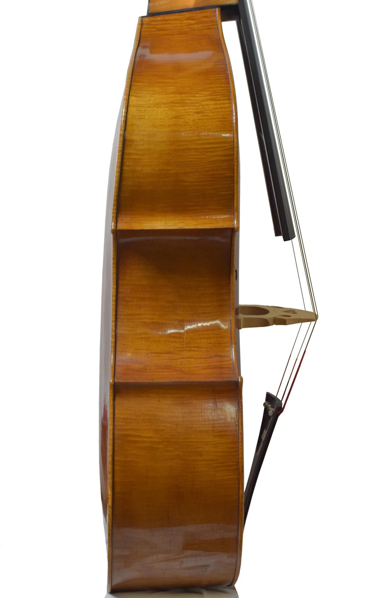 Nick Lloyd 2020 Bass — Finlay + Gage Musical Instruments