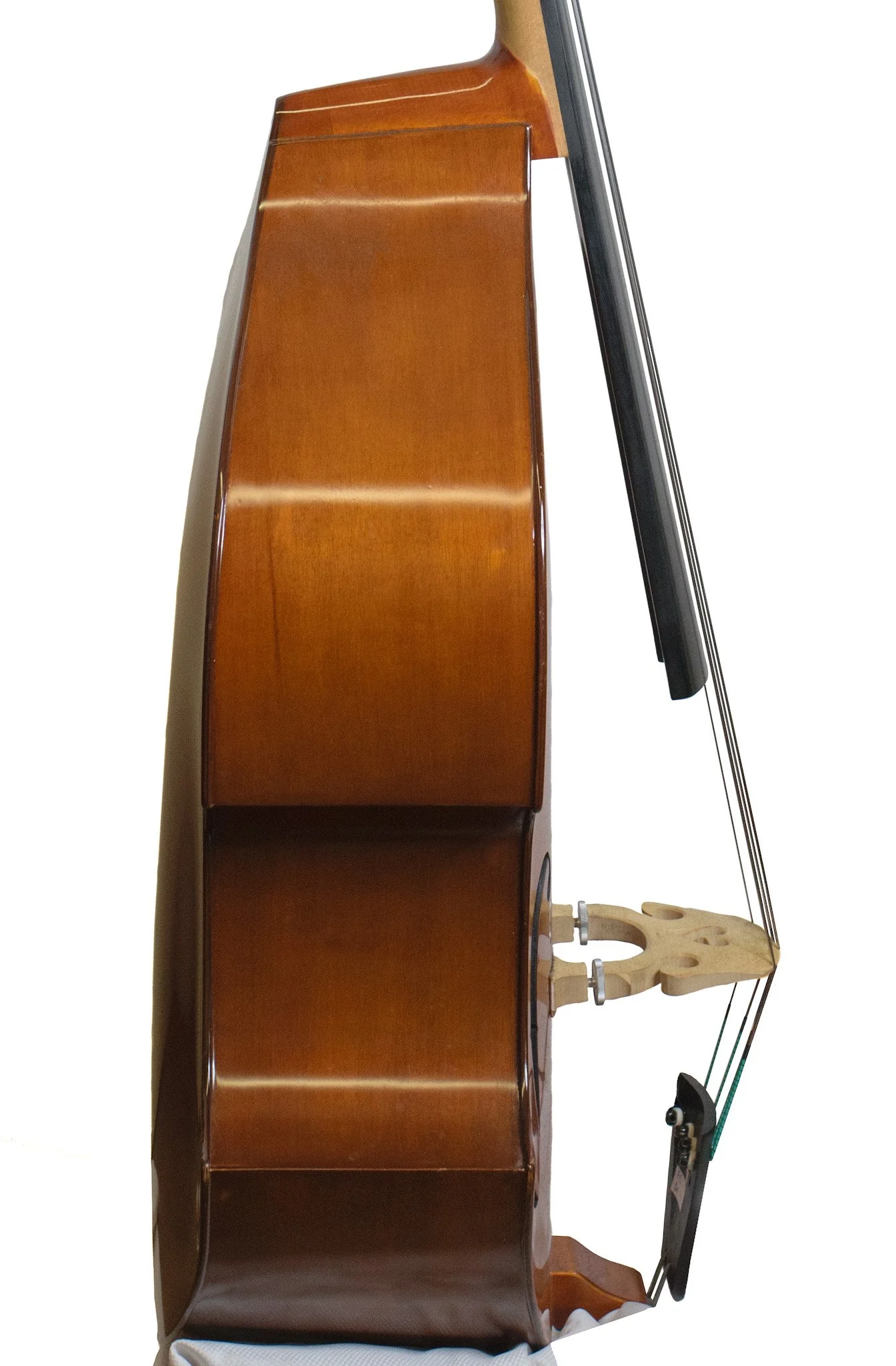 Czech Ease Standard Eb Neck Bass — Finlay + Gage Musical Instruments