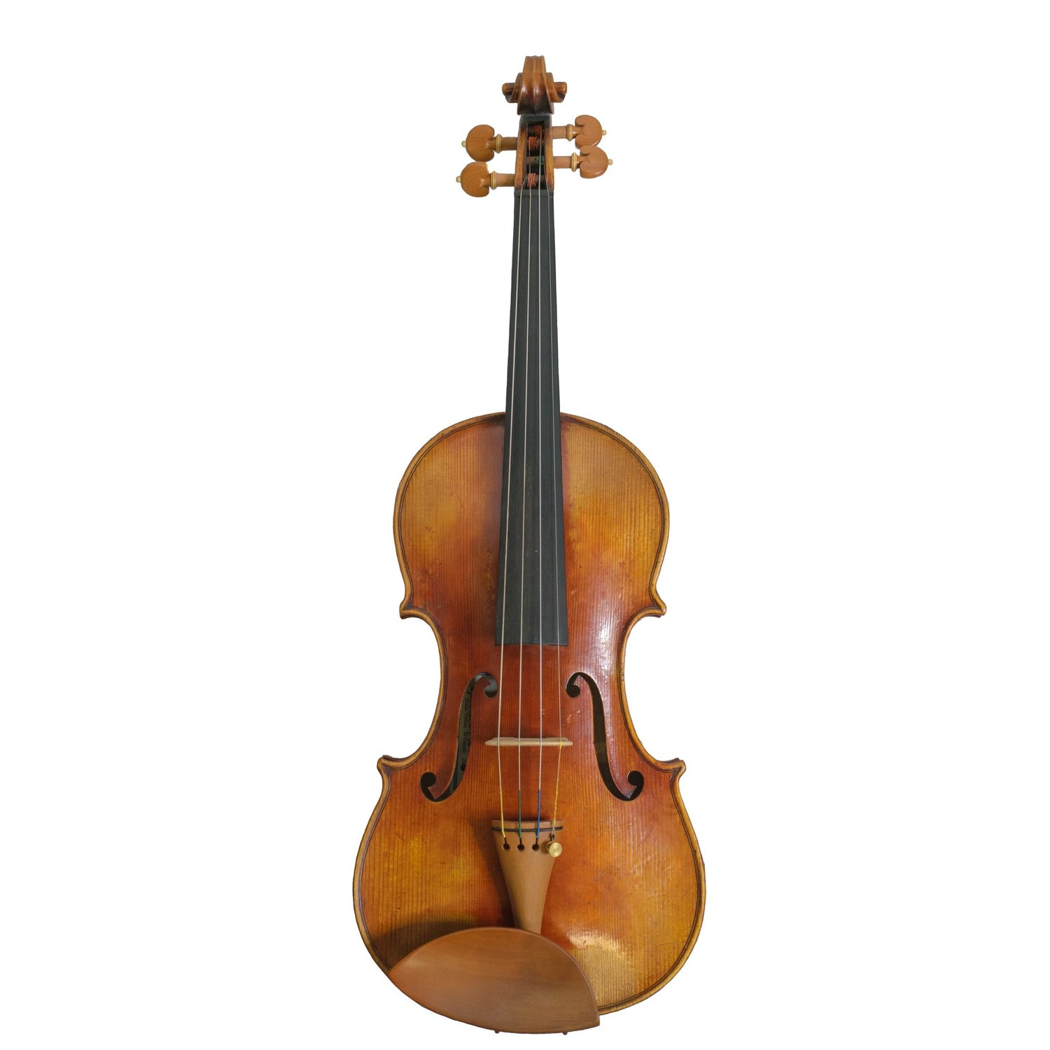 Bowed Instruments — Finlay + Gage Musical Instruments