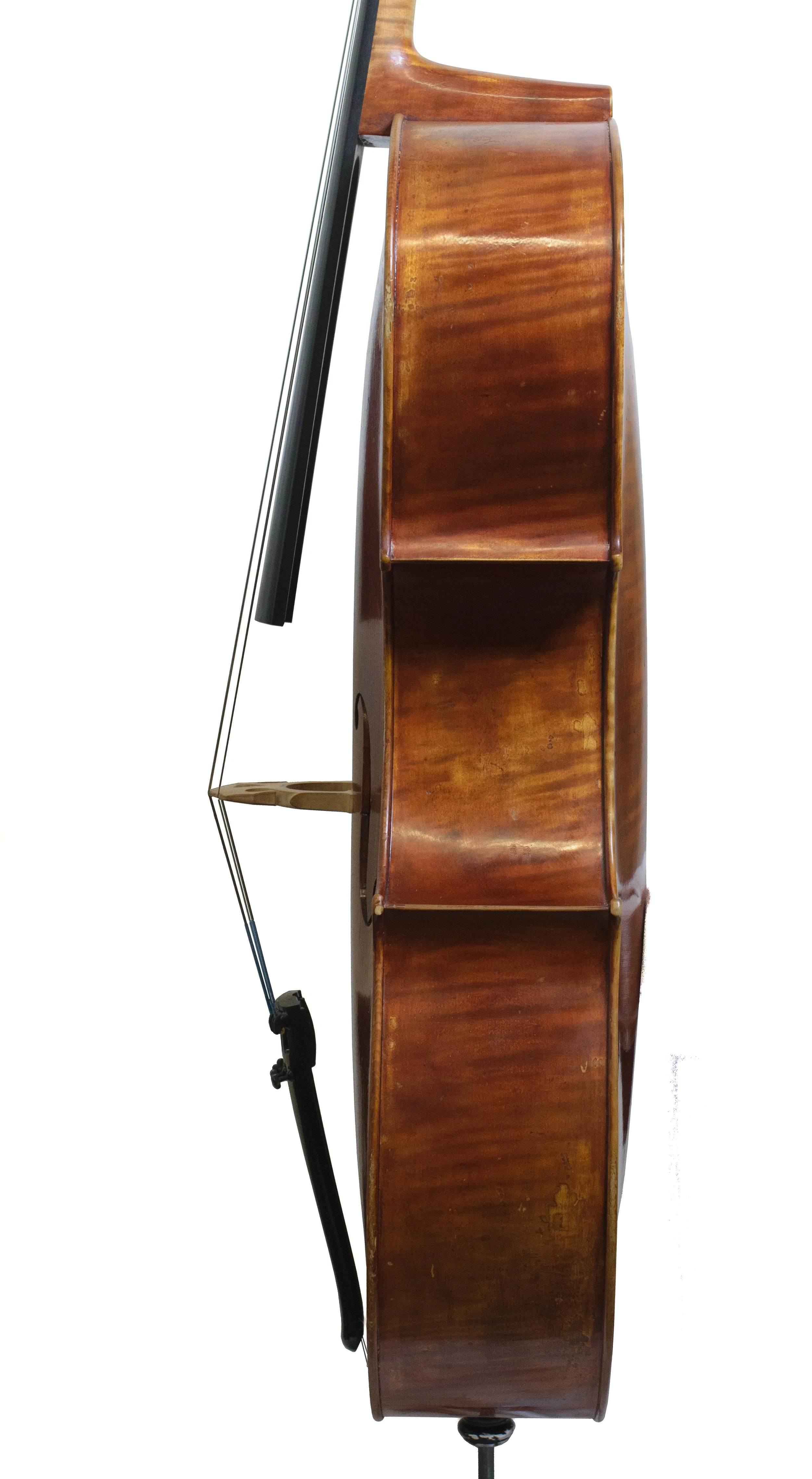 John Chen "Strad" Cello — Finlay + Gage Musical Instruments