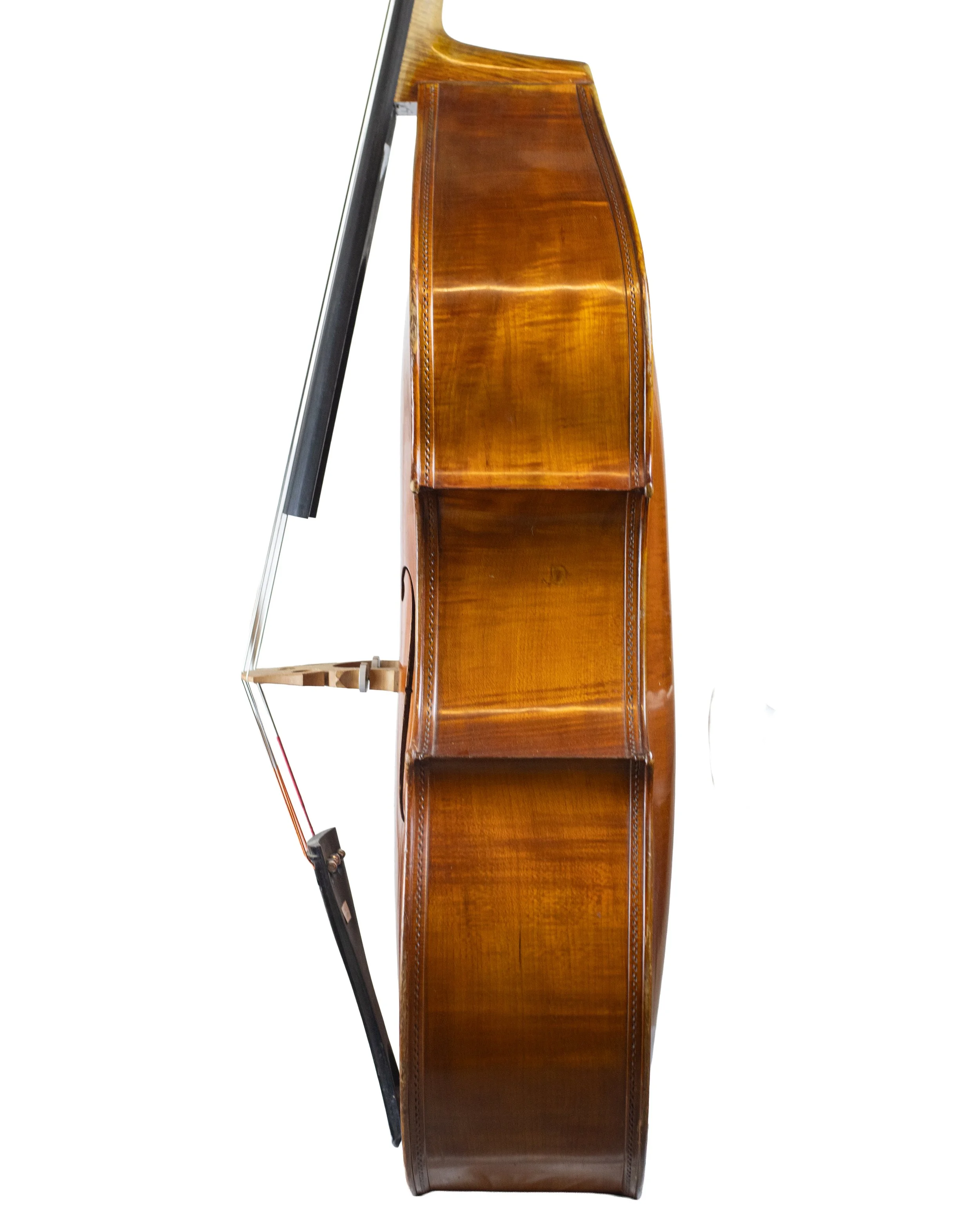 bass-50.jpg