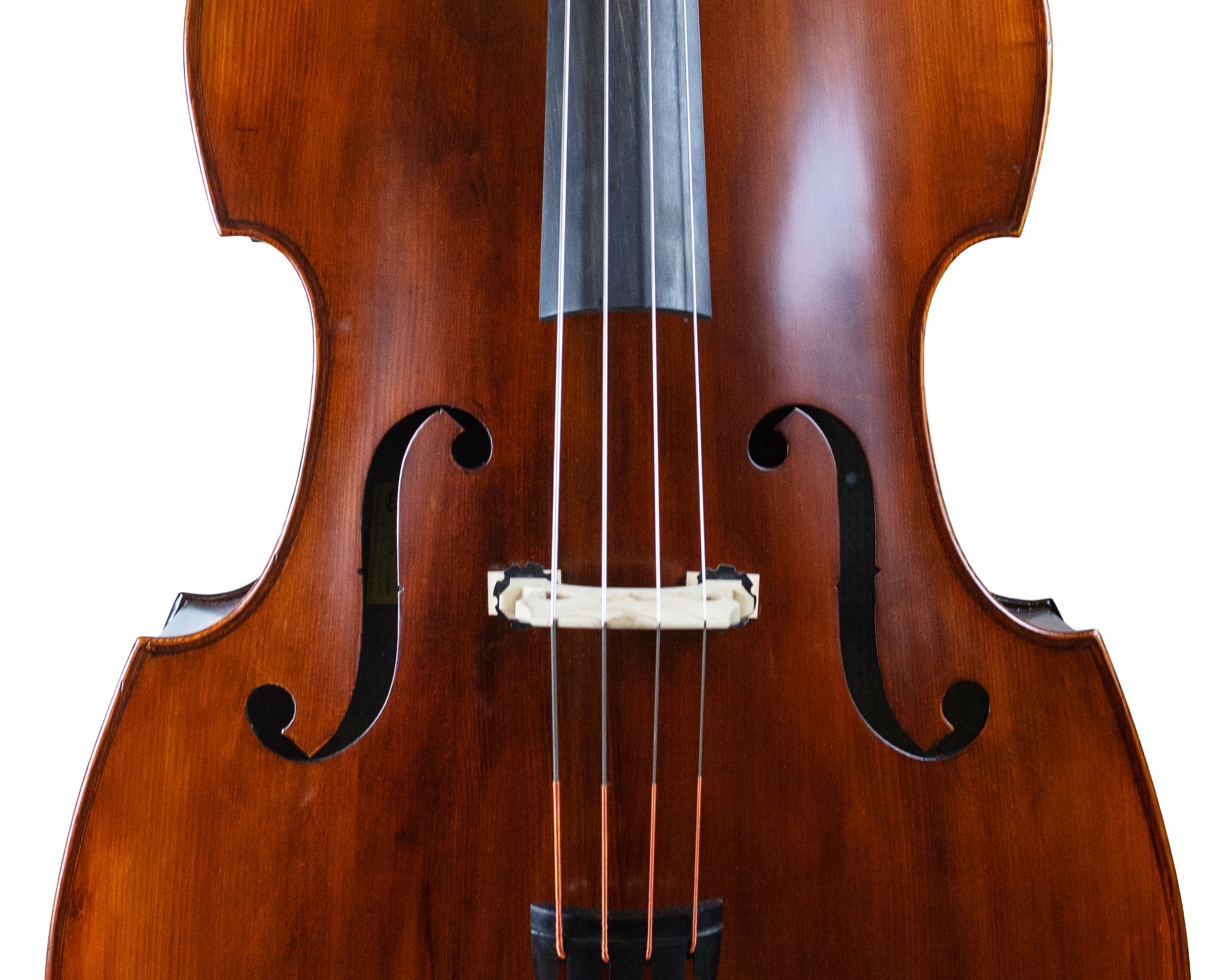 bass-27.jpg