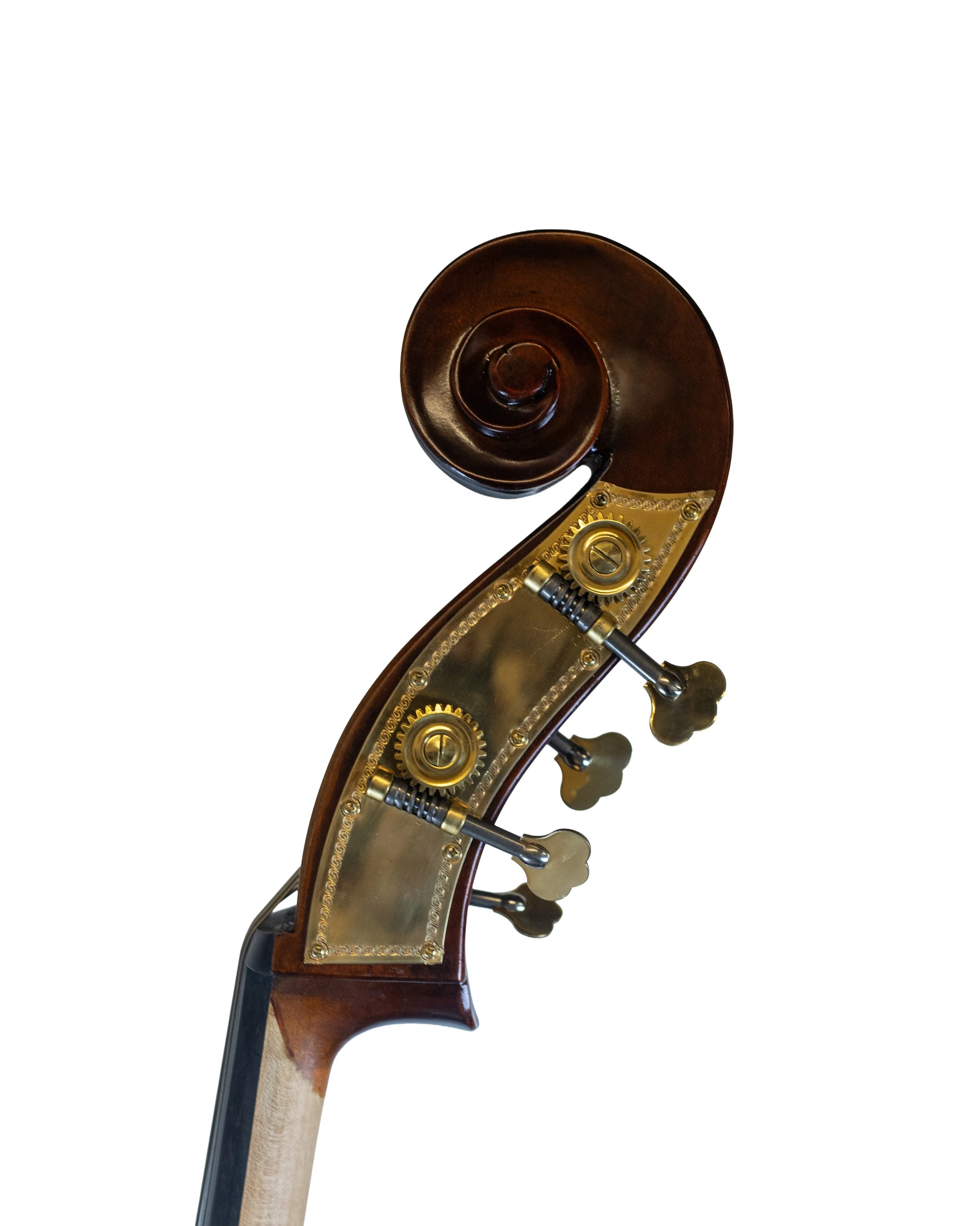 bass-21.jpg