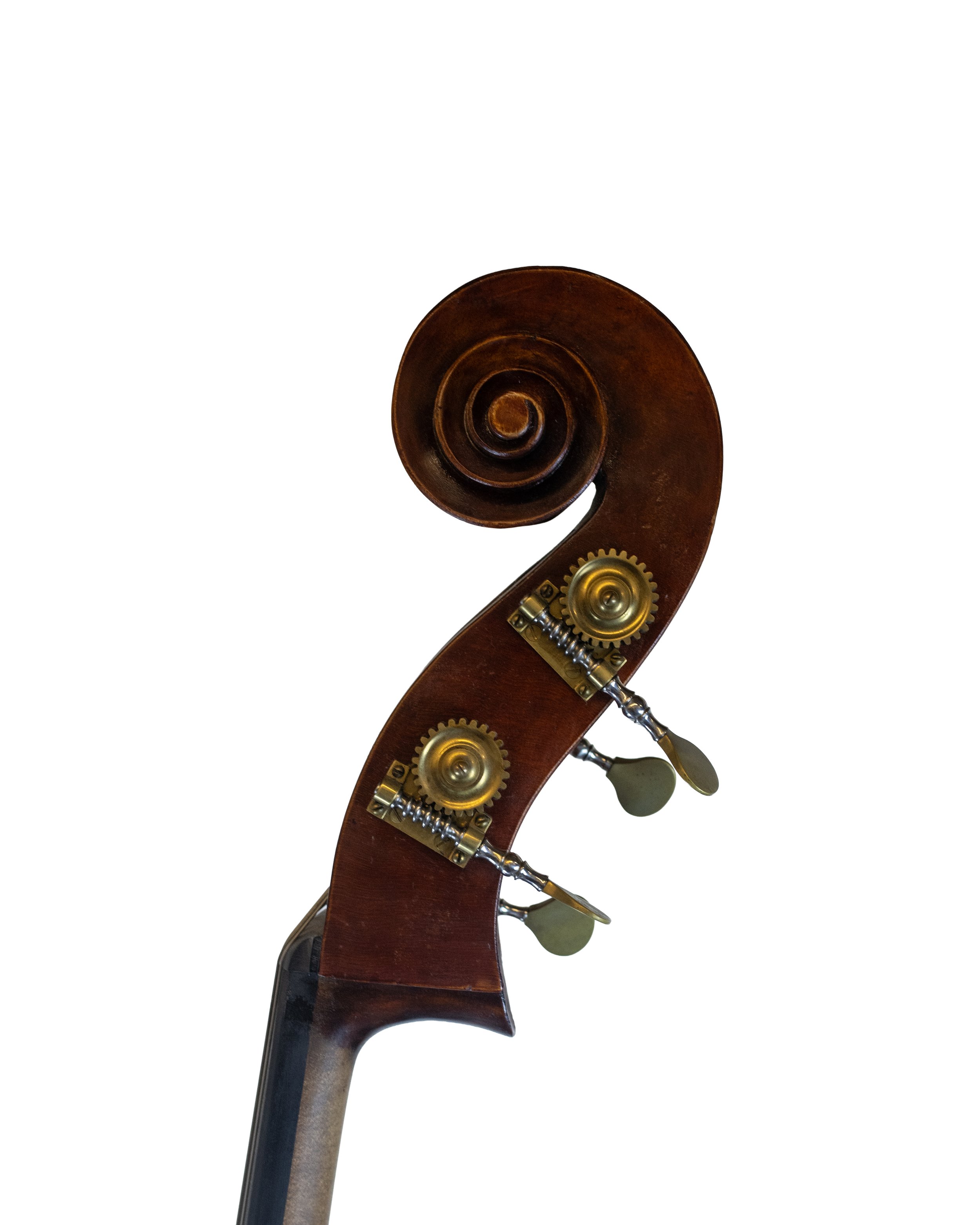 bass-08.jpg