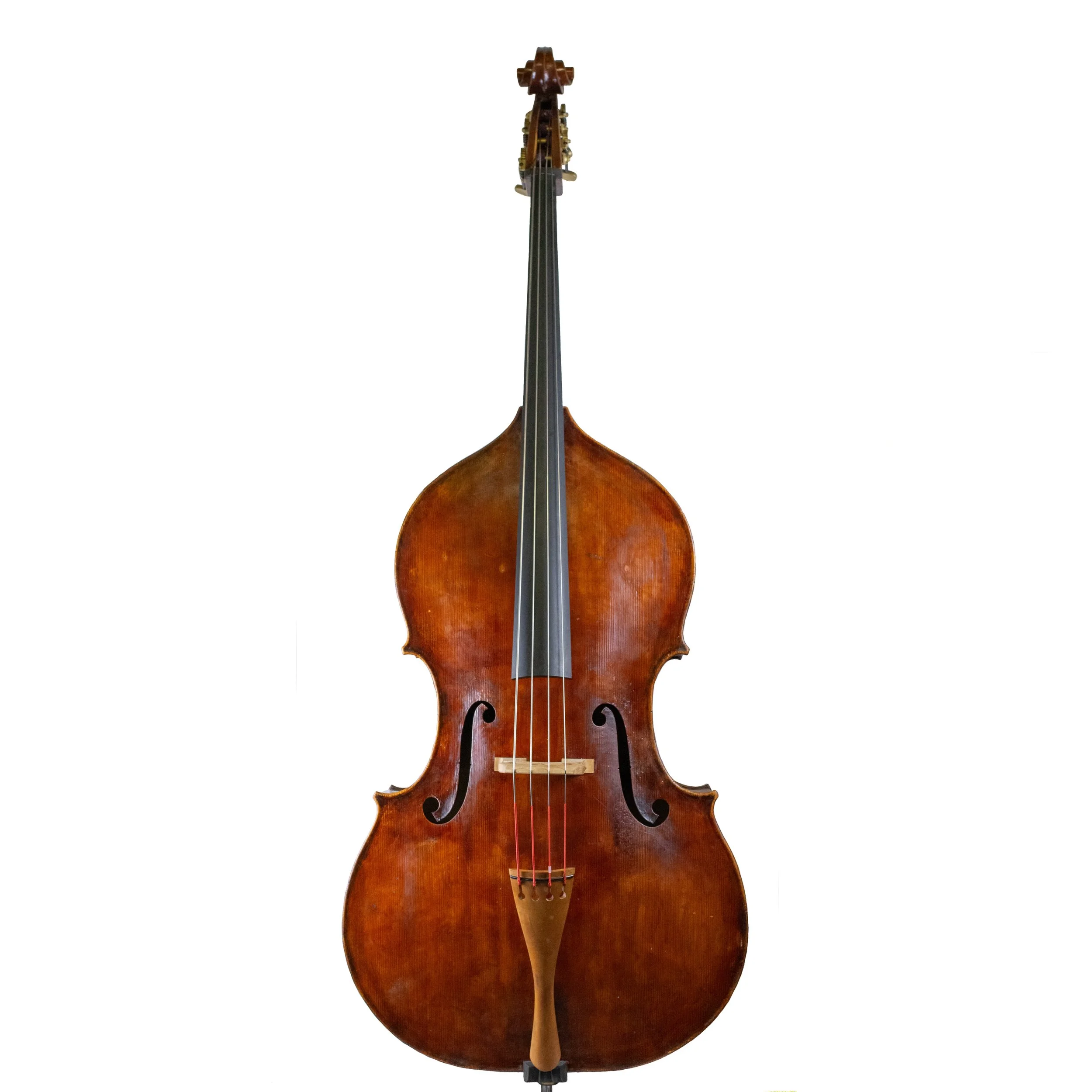 Sam Morel Bass 2024 Finlay Gage Musical Instruments Sam Morel Bass 2024 Finlay Gage Musical Instruments