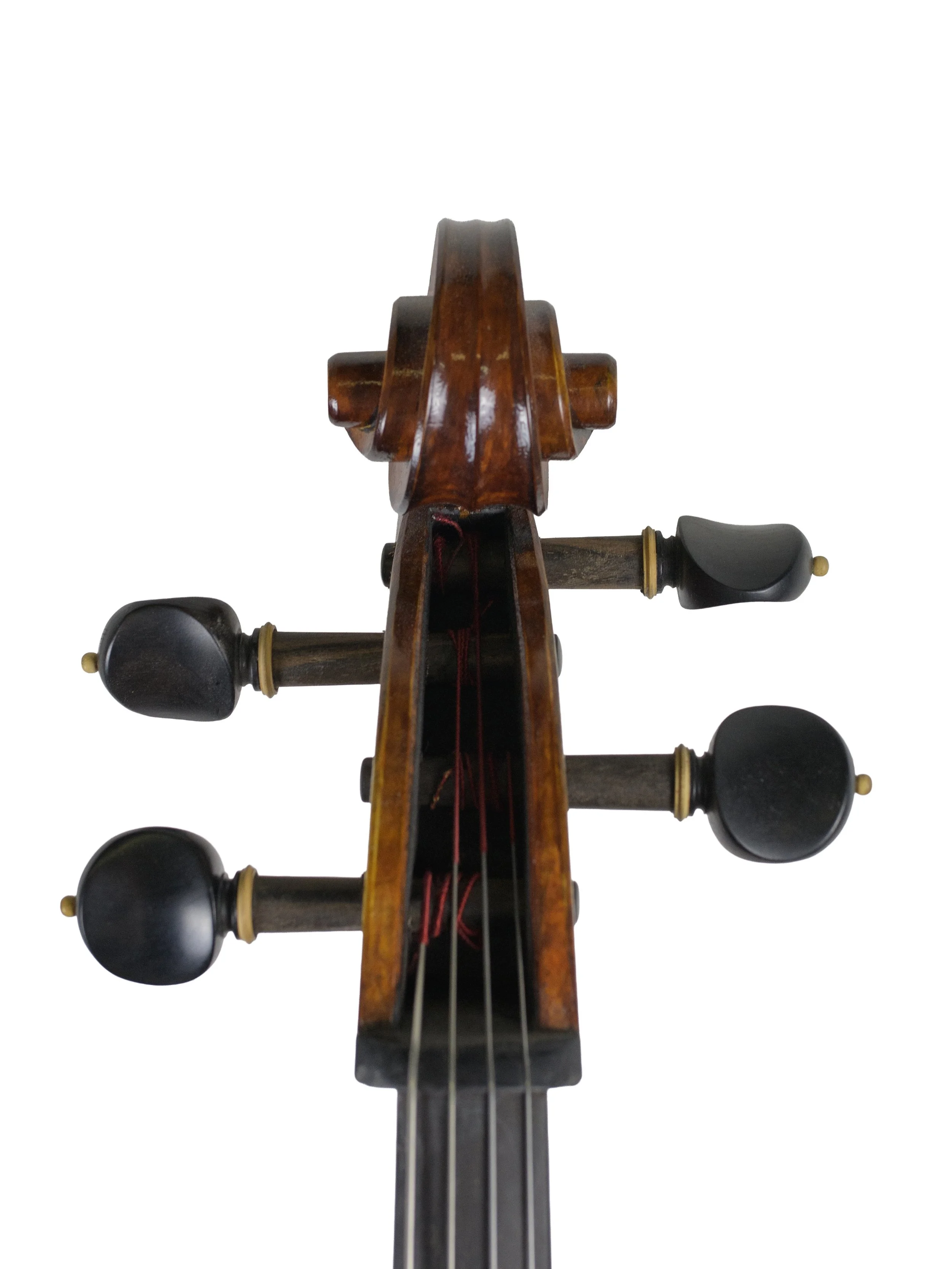 gustav stattel-03.jpg