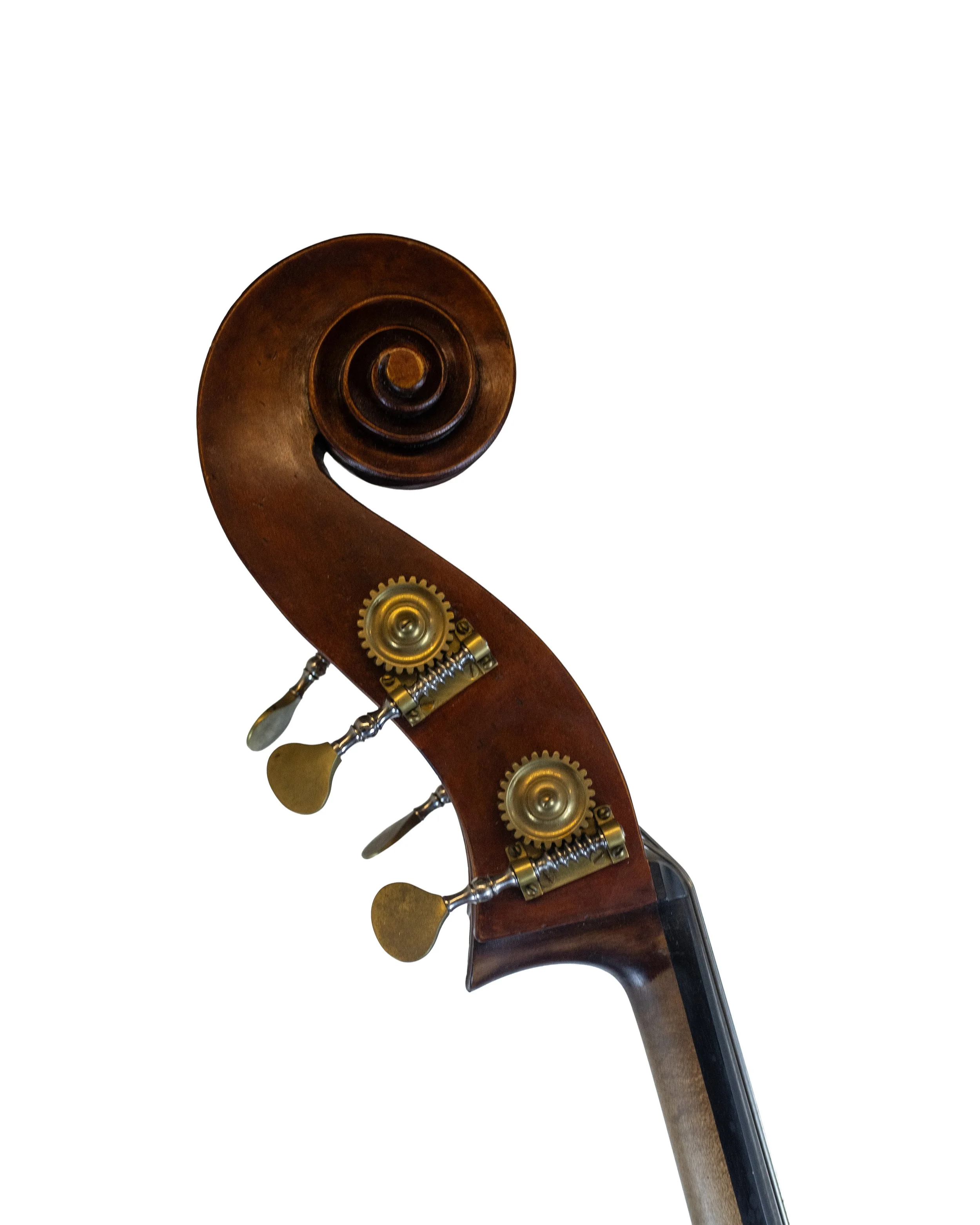 bass-10.jpg