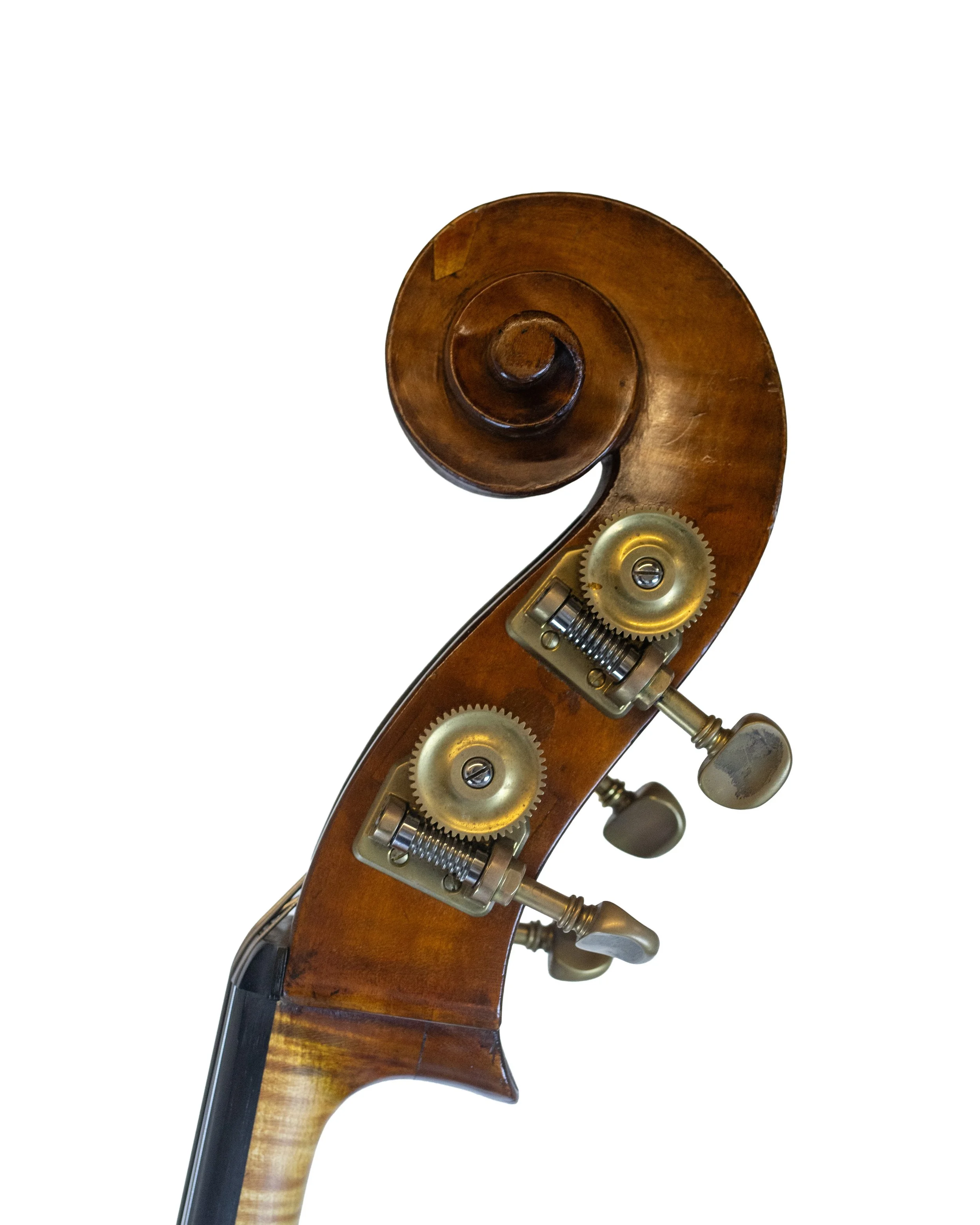 bass-17.jpg