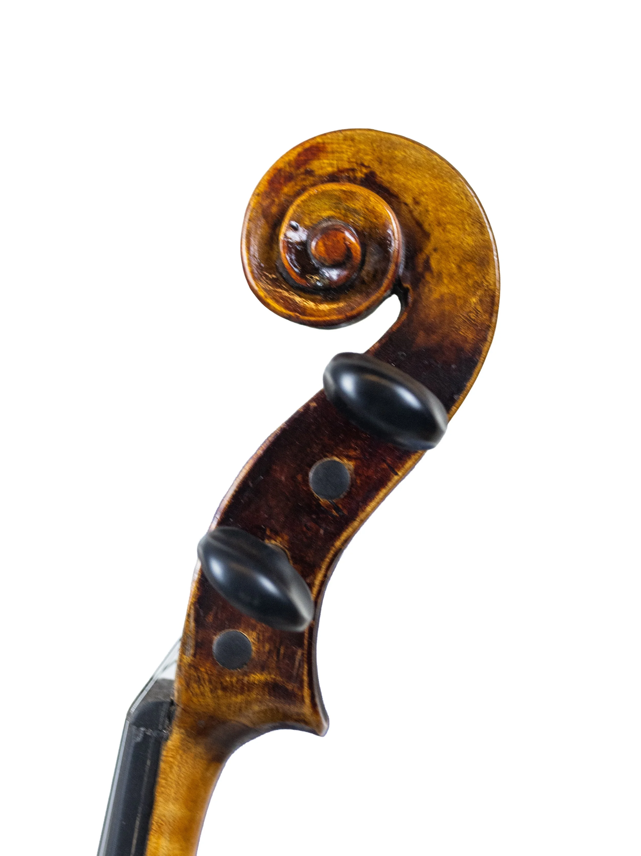 20th century amati-10.jpg