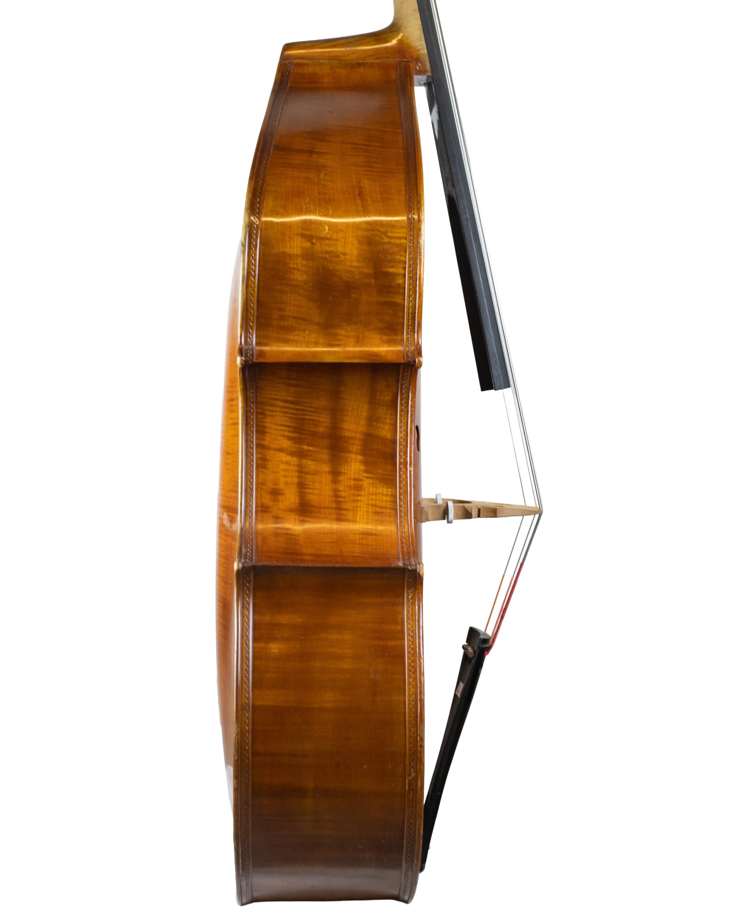 bass-46.jpg