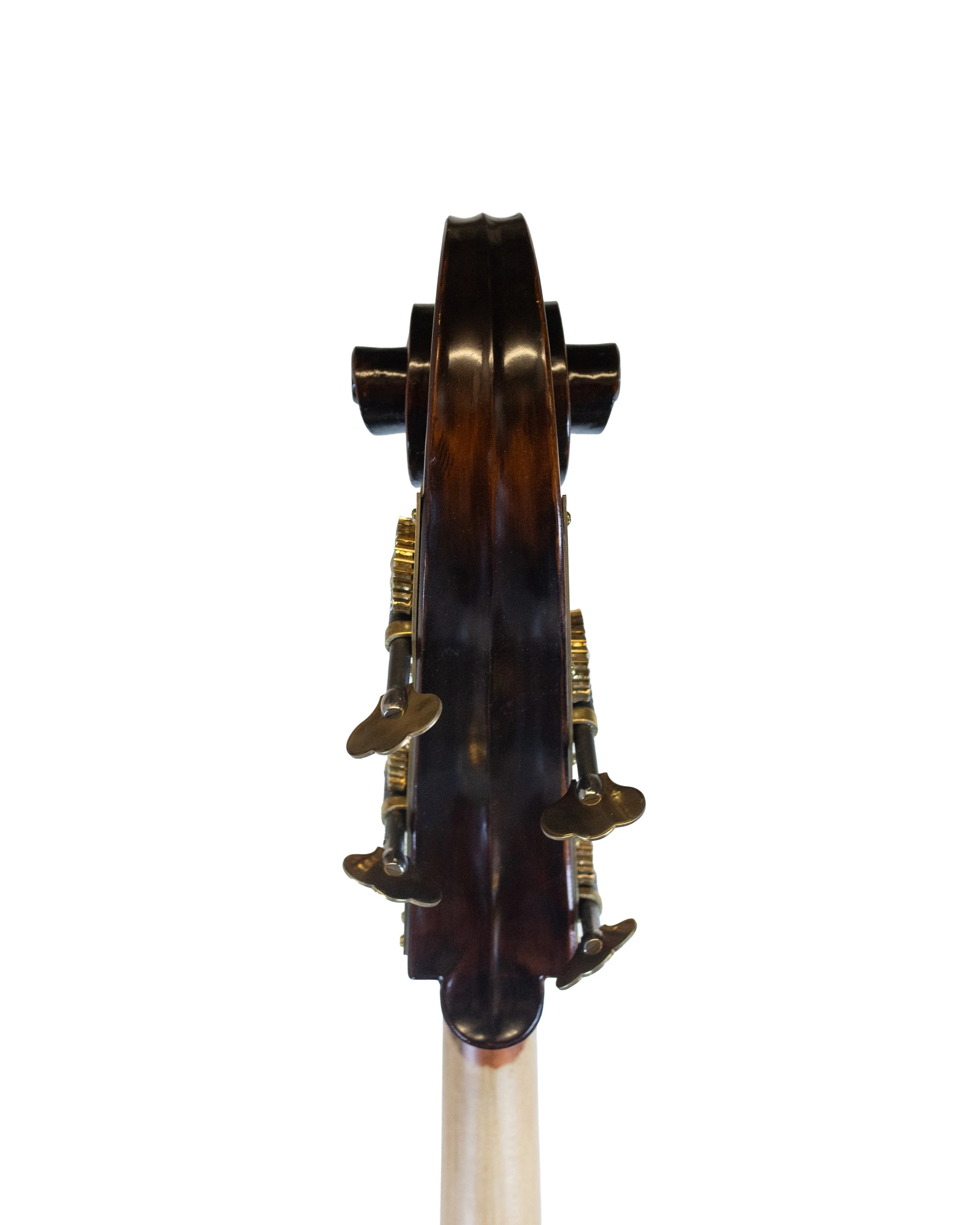 bass-35.jpg