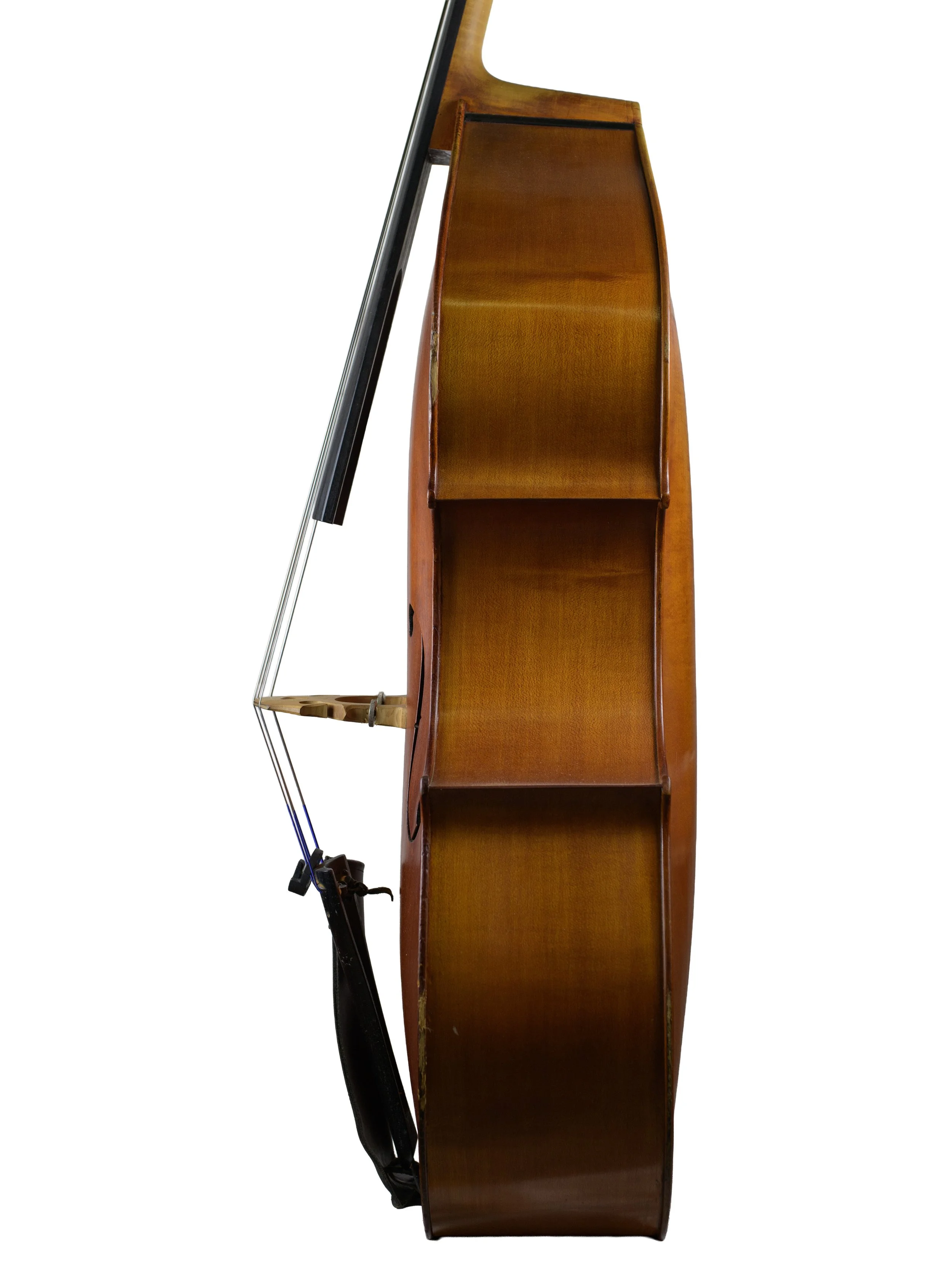 vihlo arvi-10.jpg