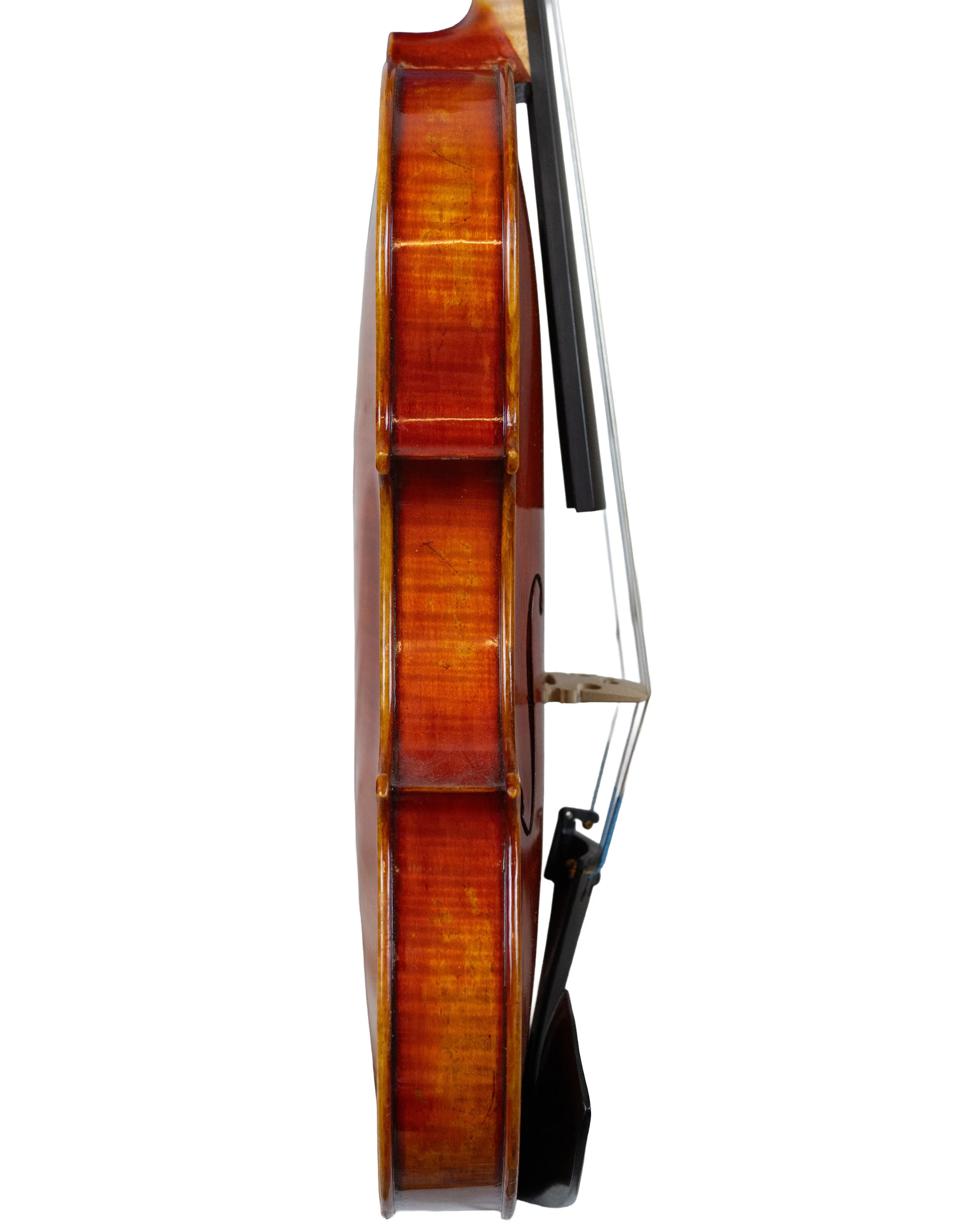 fredrich wyss-08.jpg