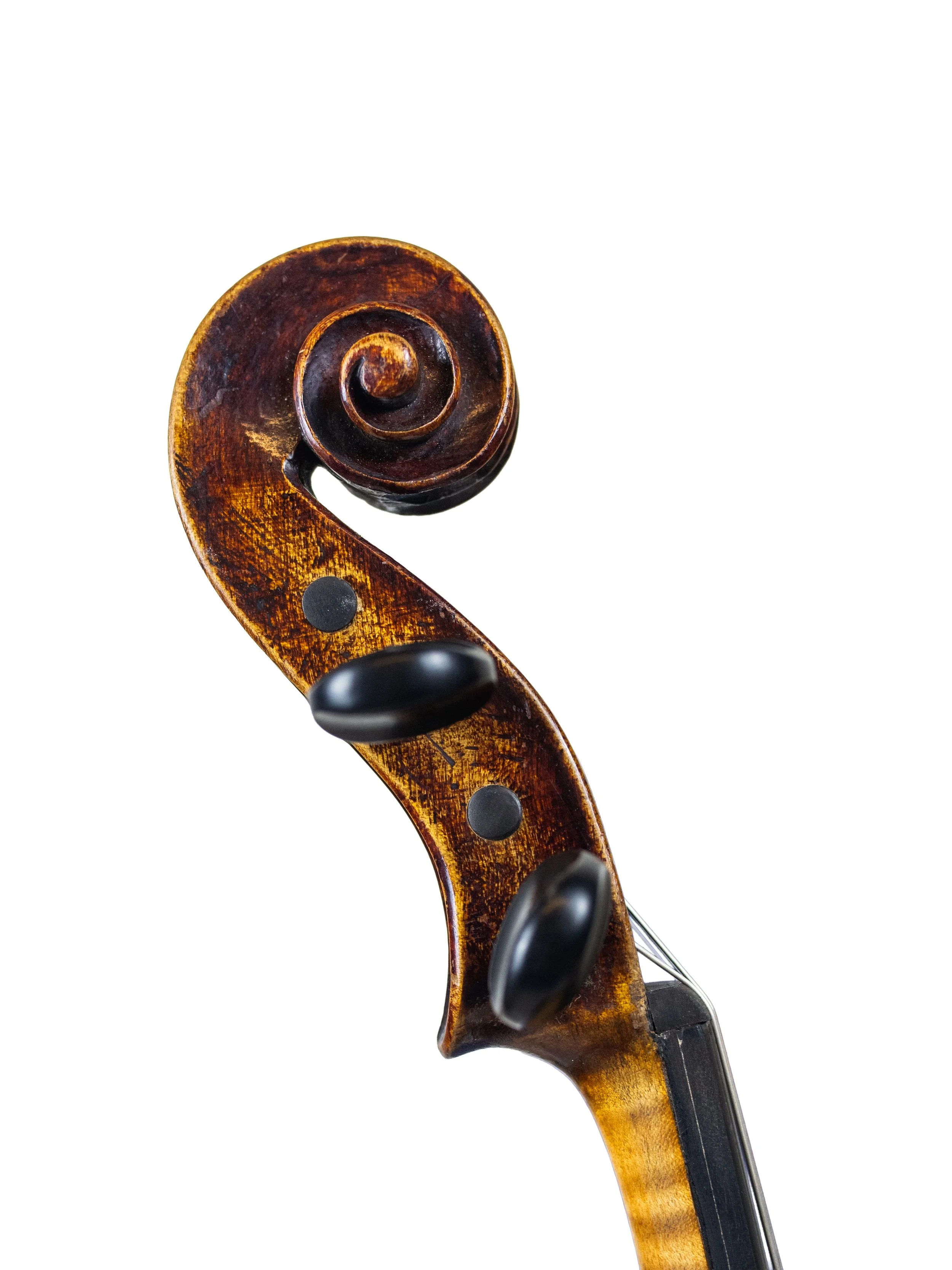 20th century amati-07.jpg