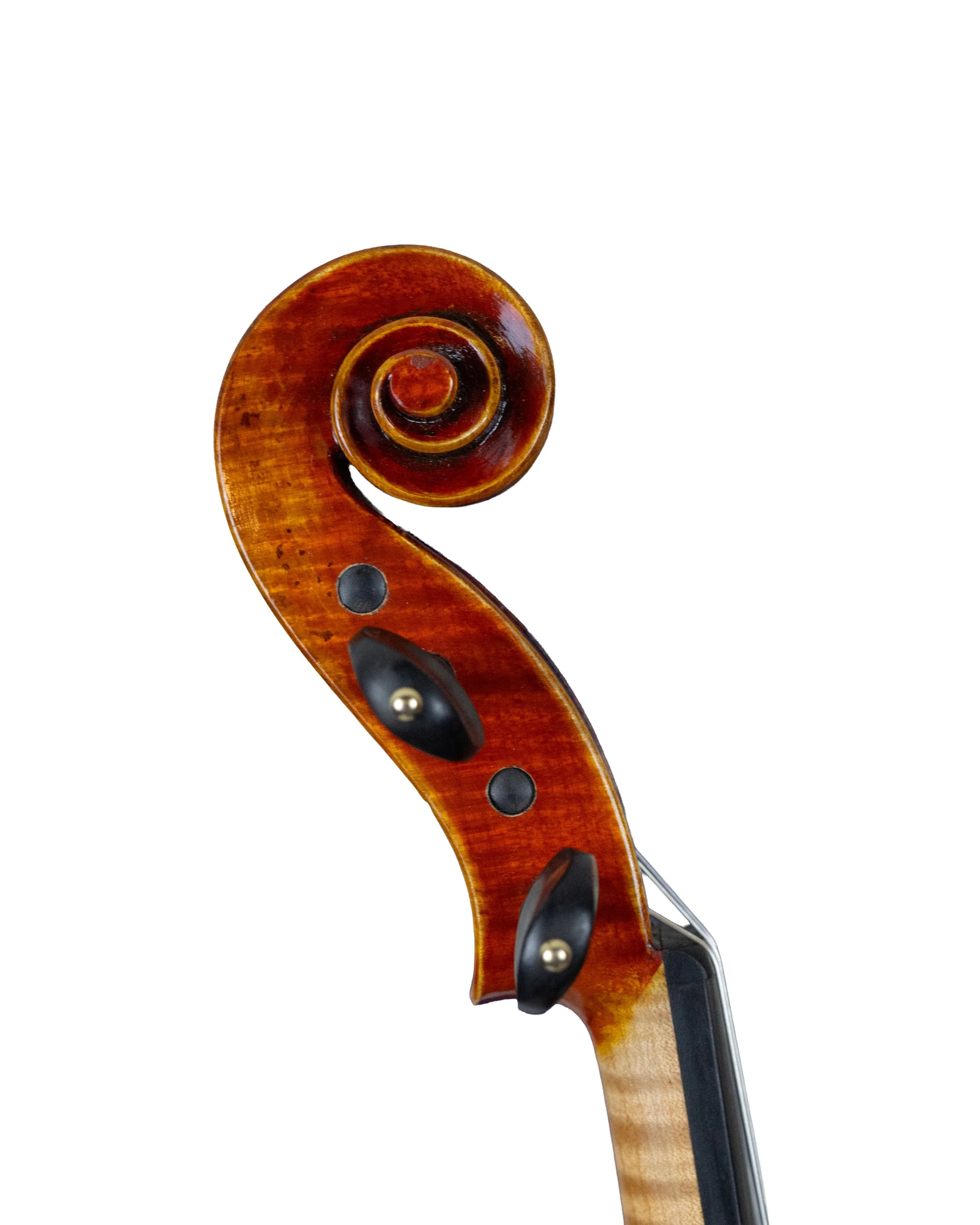 fredrich wyss-09.jpg