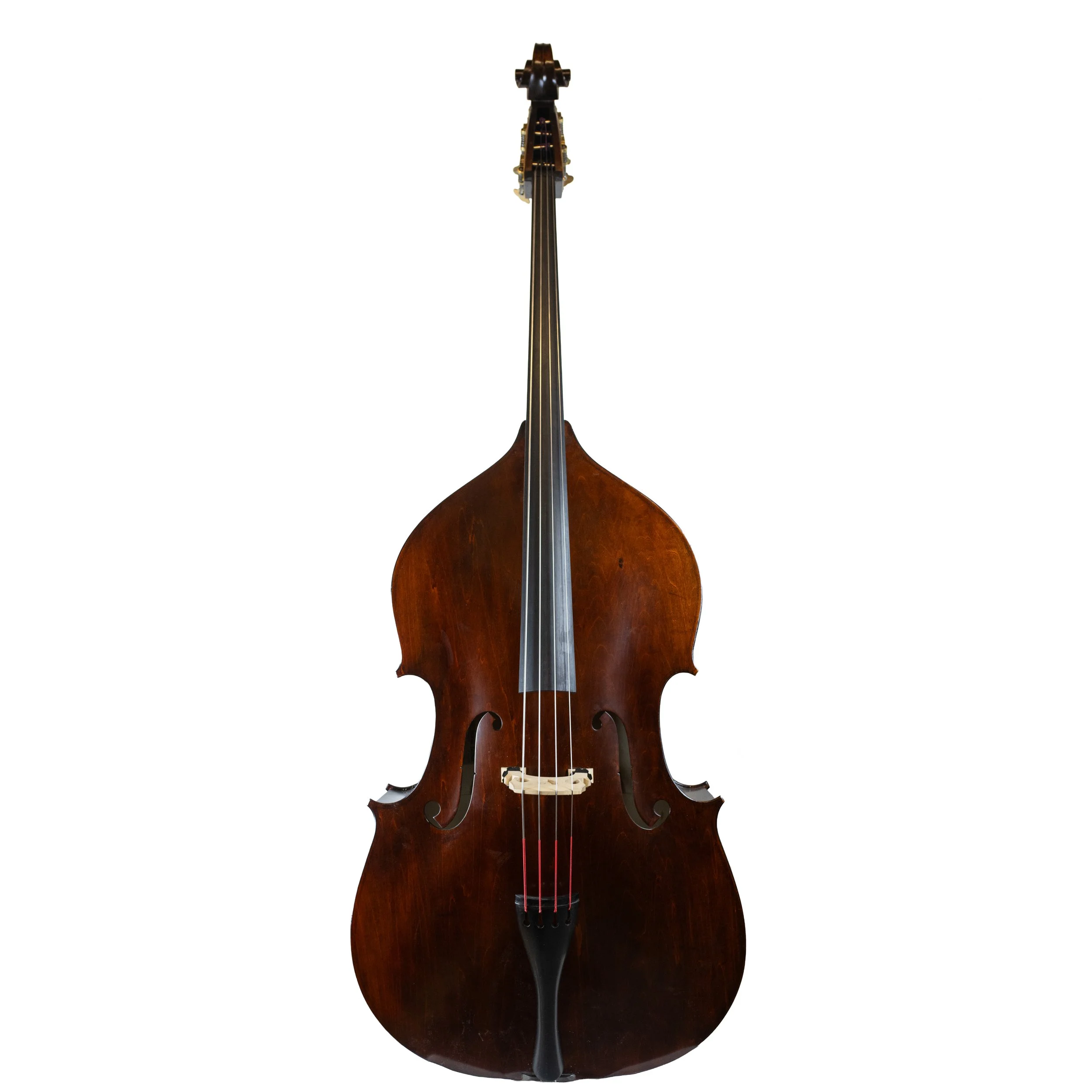 bass-30.jpg