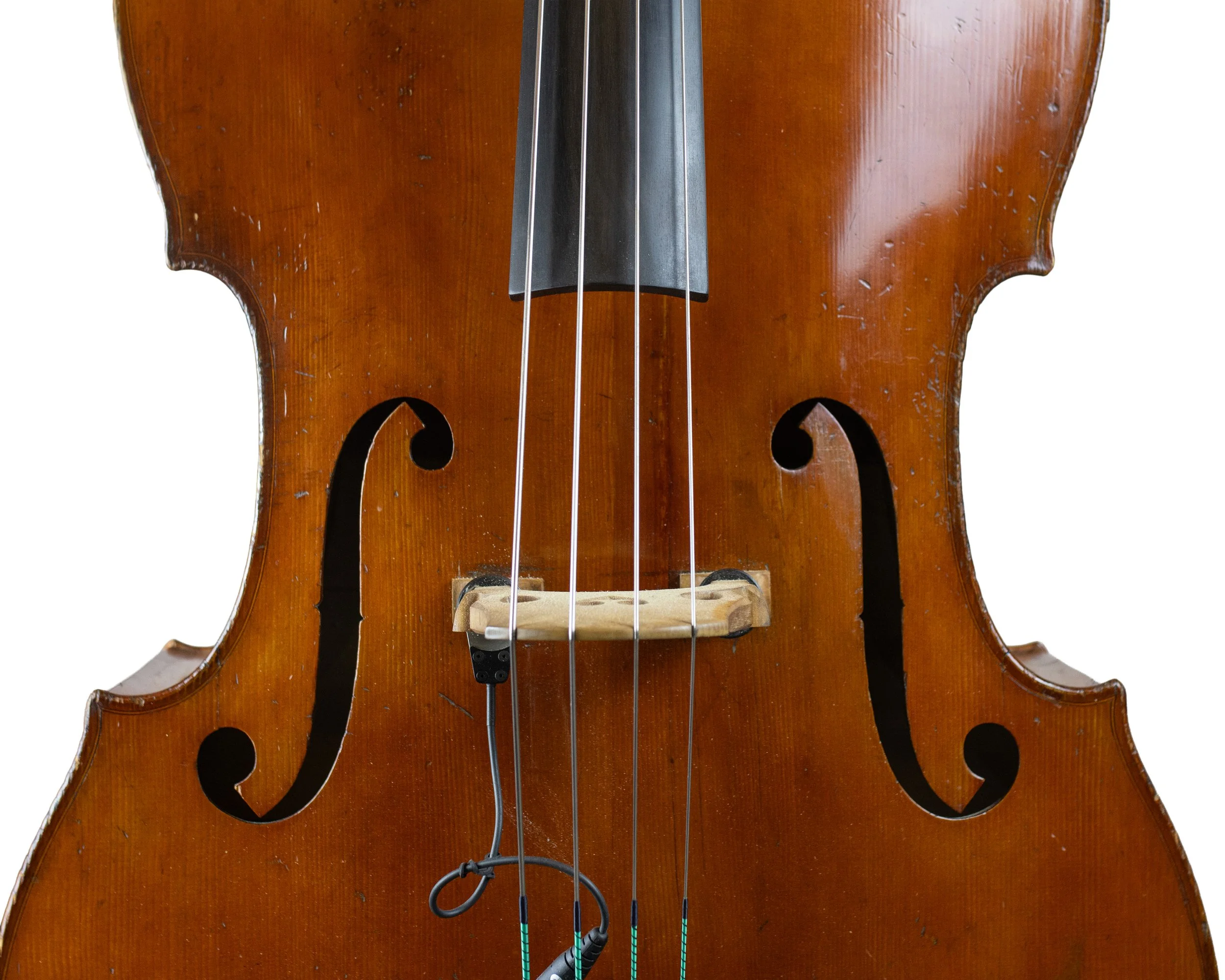 bass-13.jpg