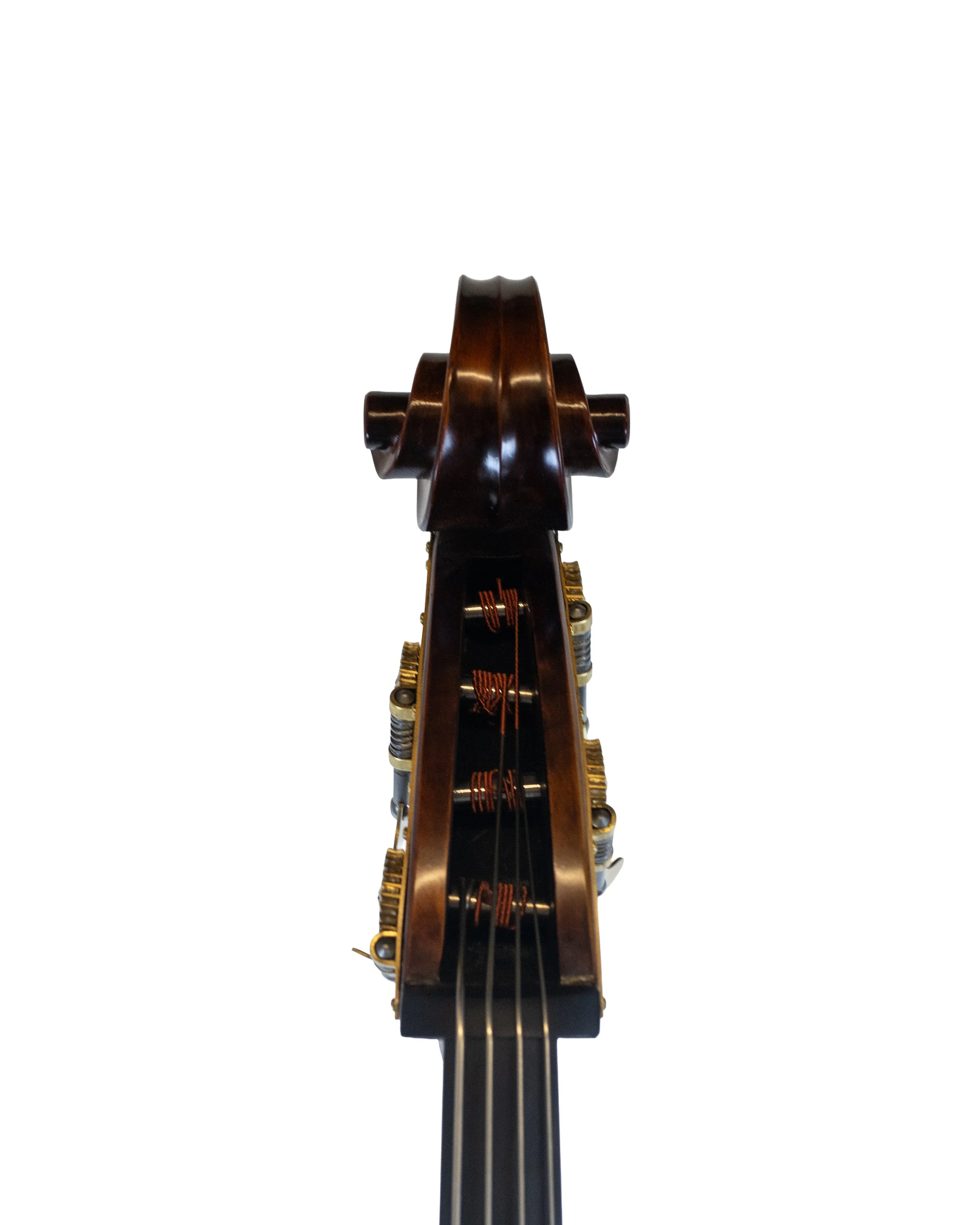 bass-25.jpg