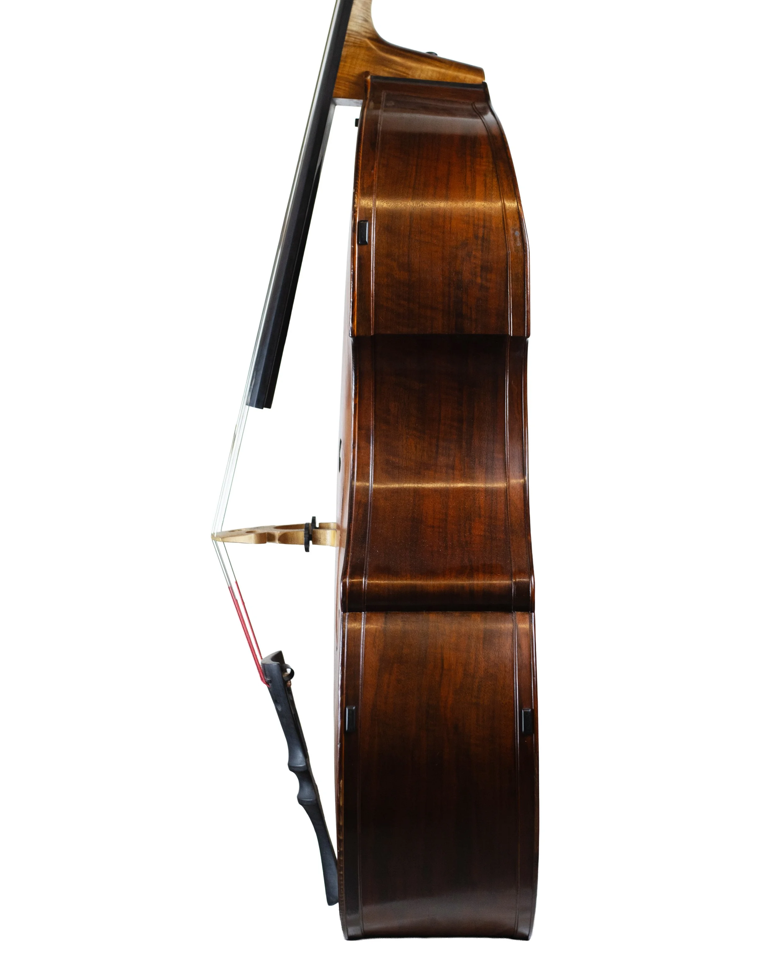 bass-57.jpg
