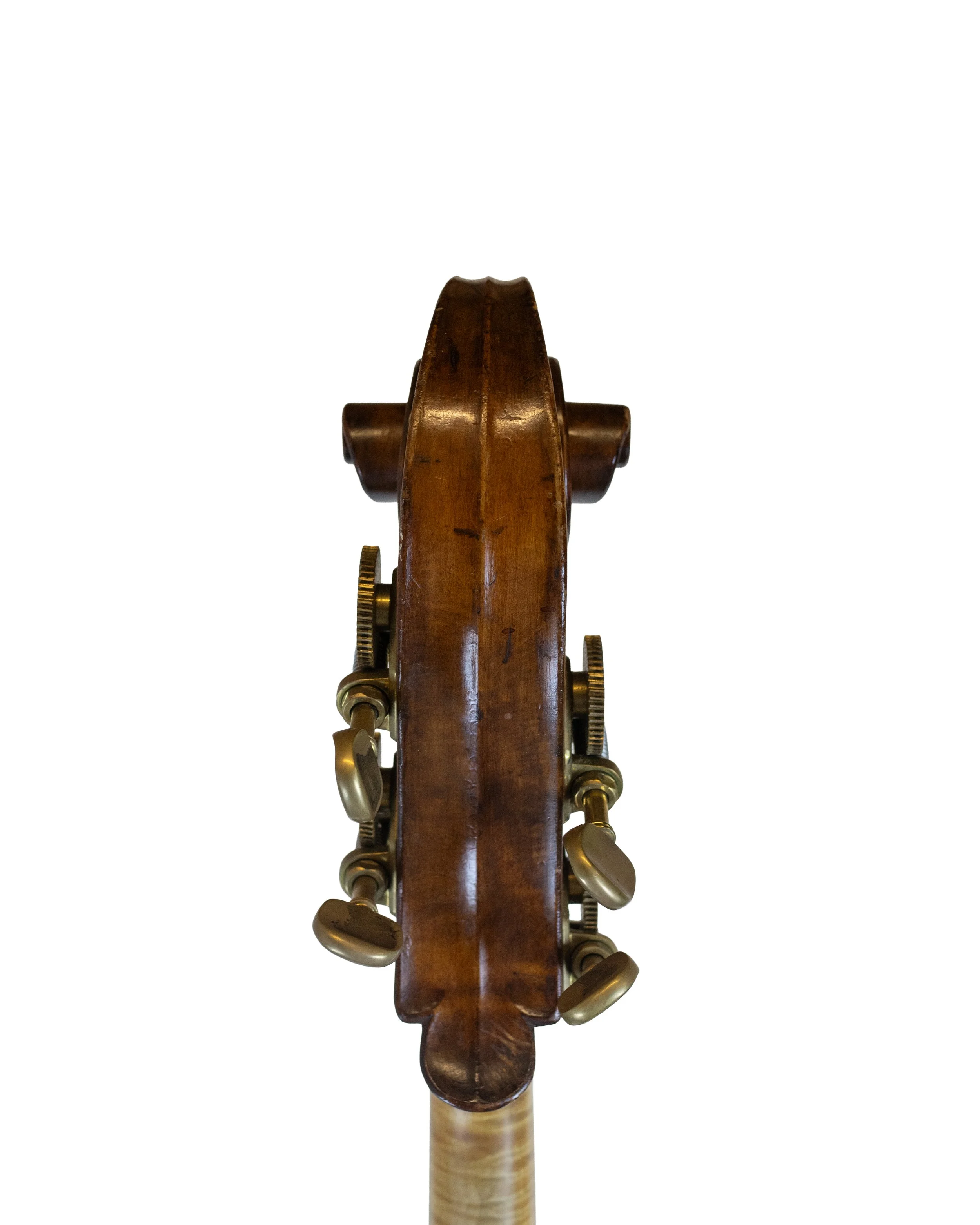 bass-19.jpg