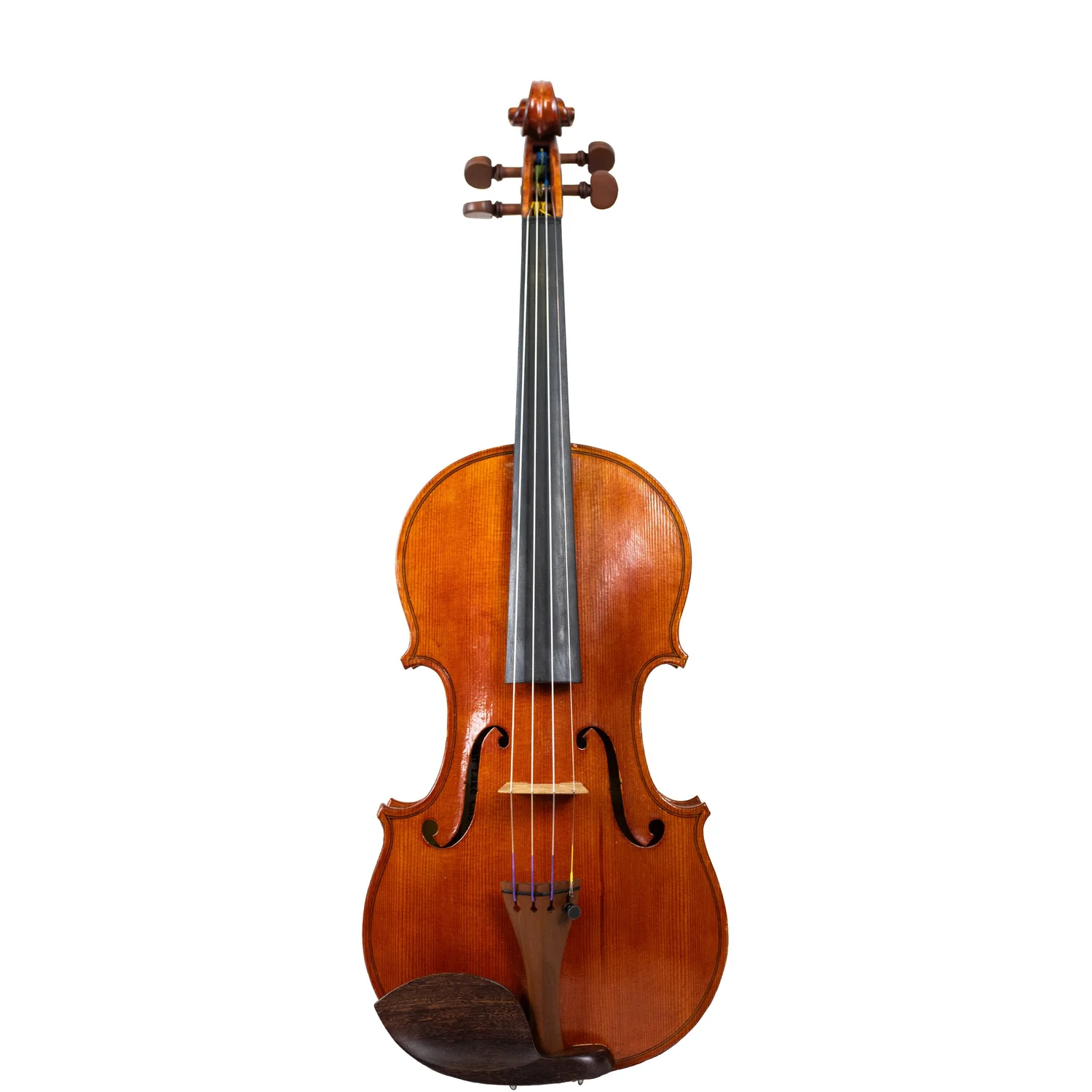 弦楽器 nicky Bowed Instruments — Finlay + Gage Musical Instruments