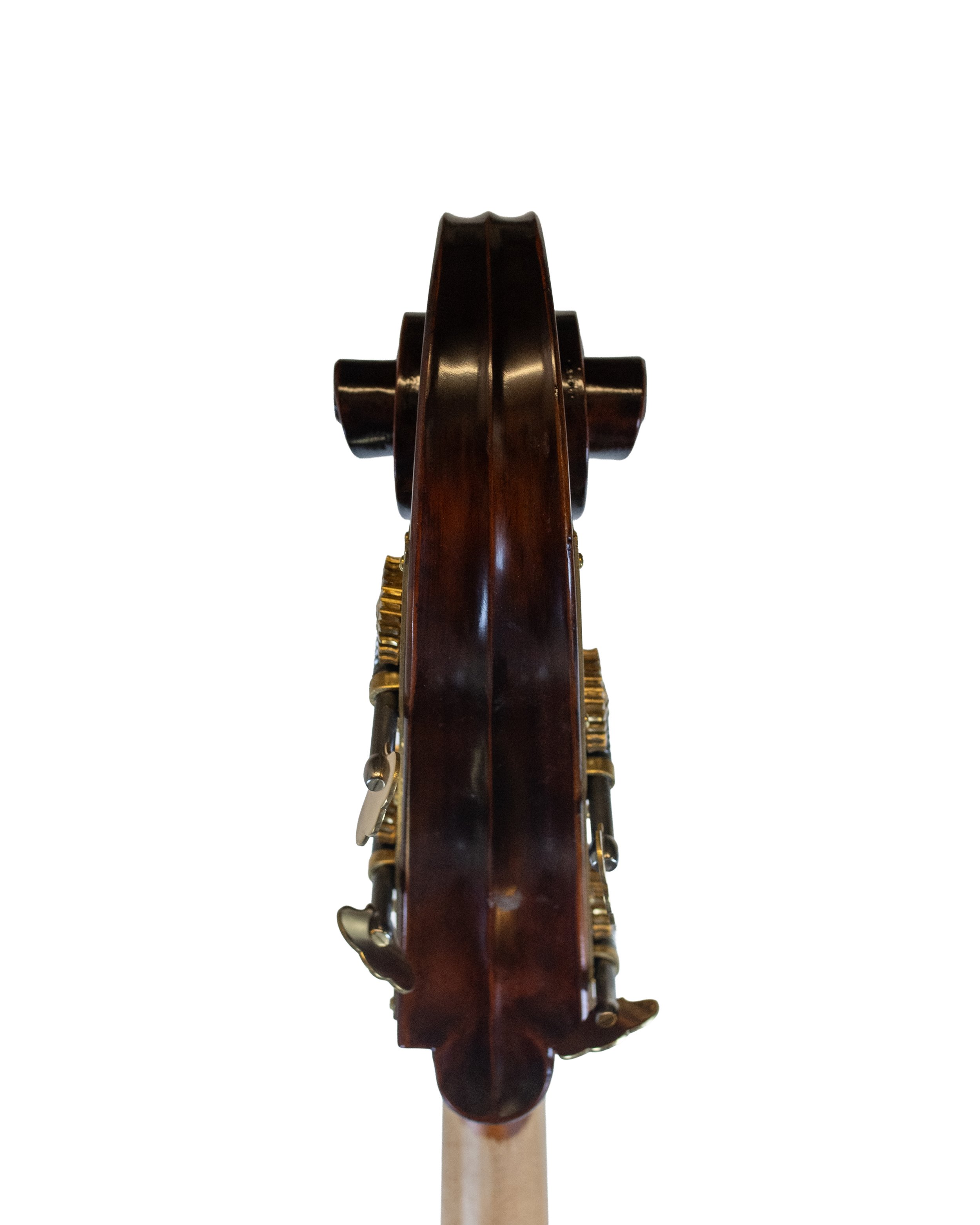 bass-28.jpg