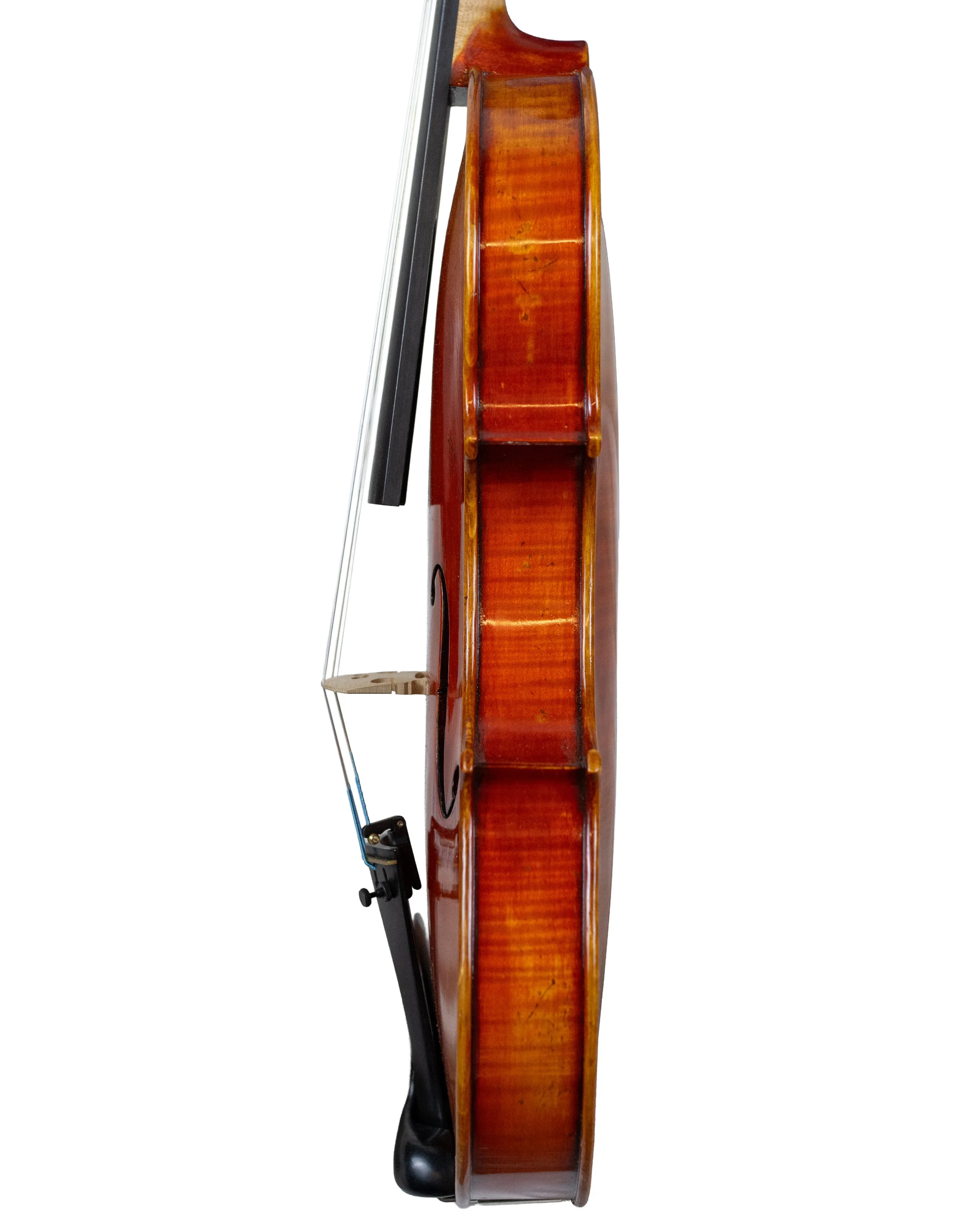 fredrich wyss-05.jpg