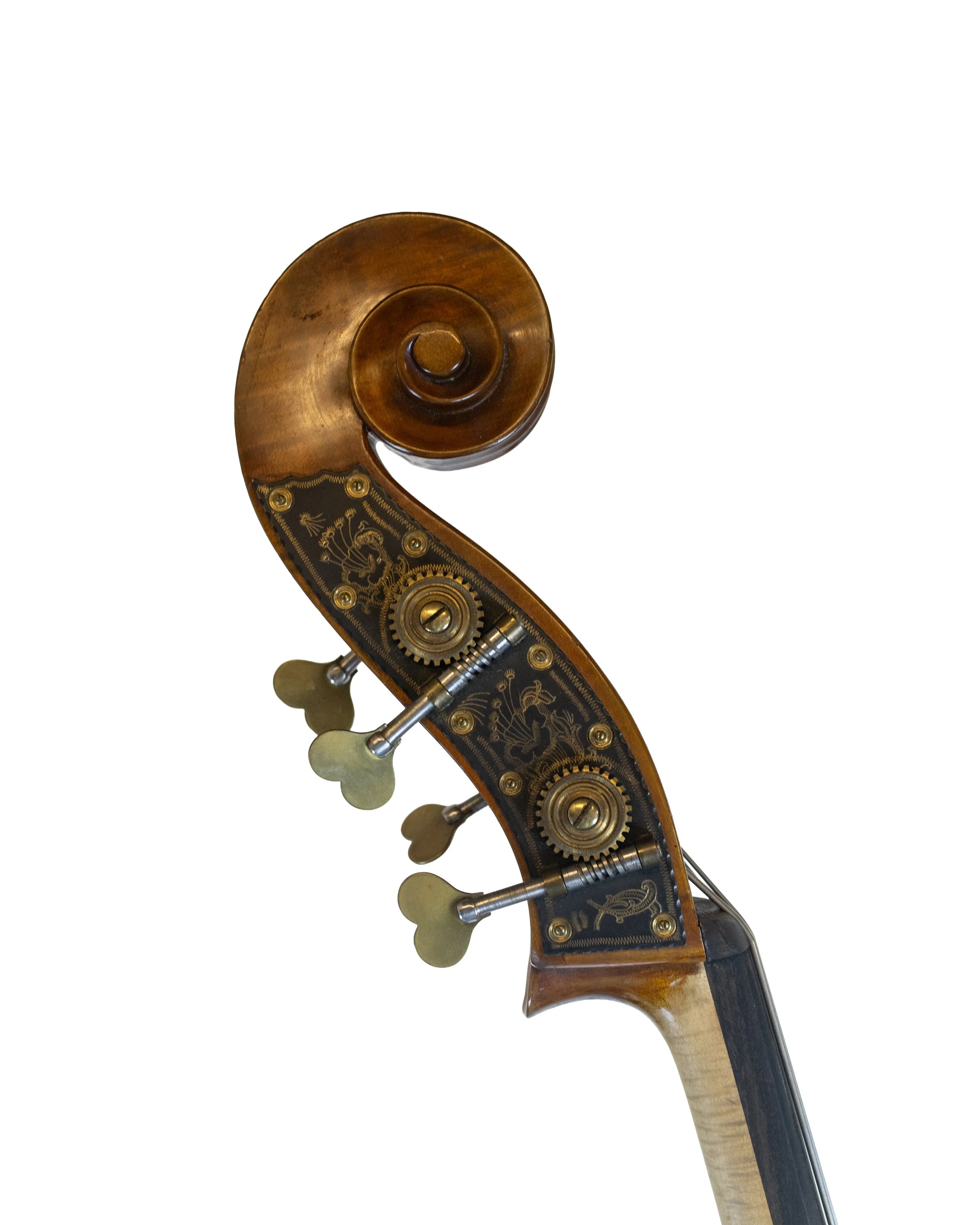 bass-48.jpg