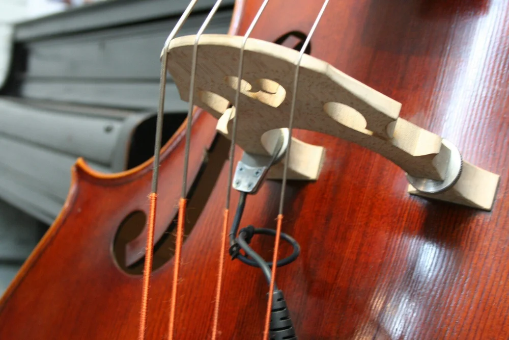 Realist LifeLine Std — Finlay + Gage Musical Instruments