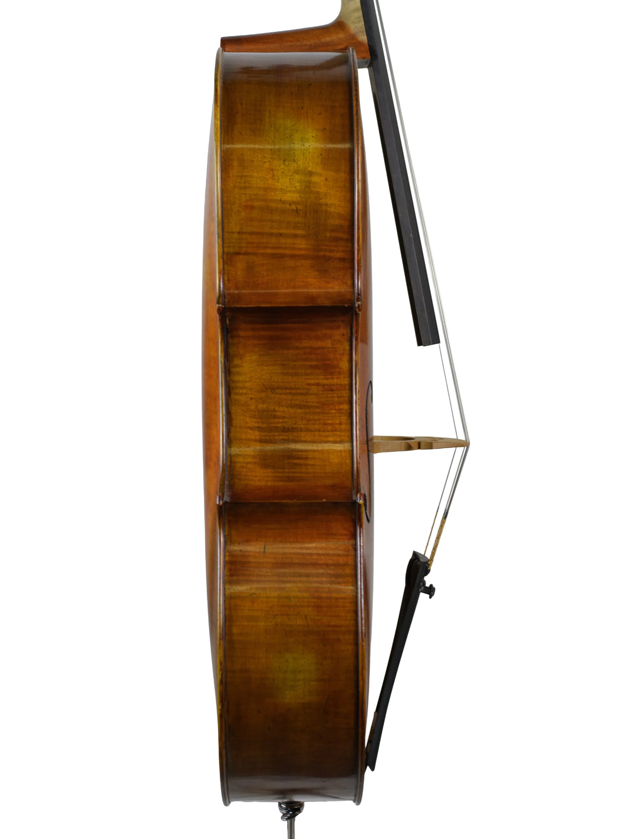 gustav stattel-05.jpg