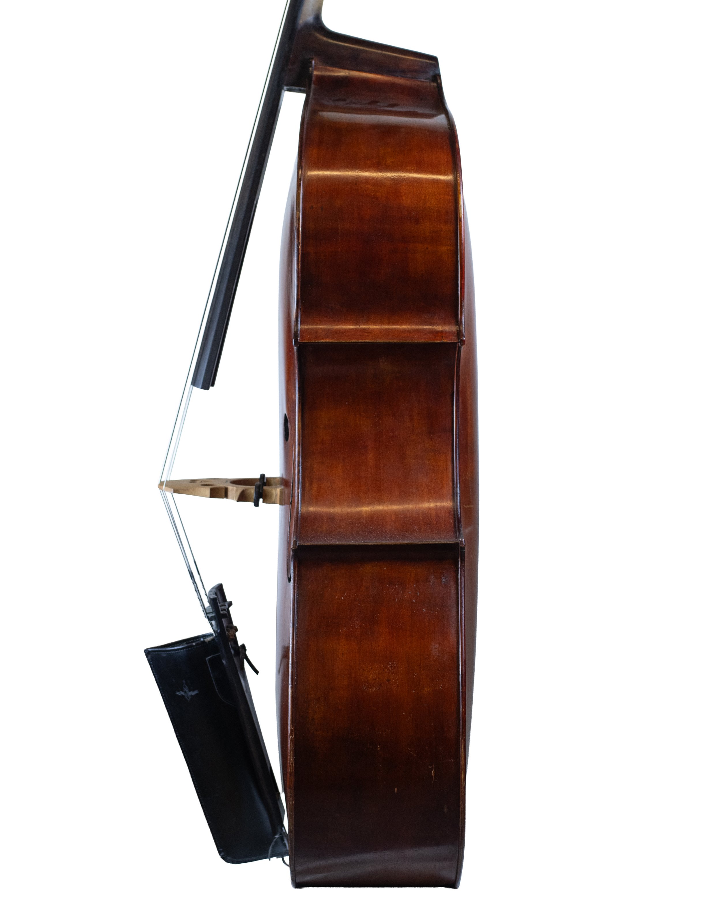 bass-09.jpg