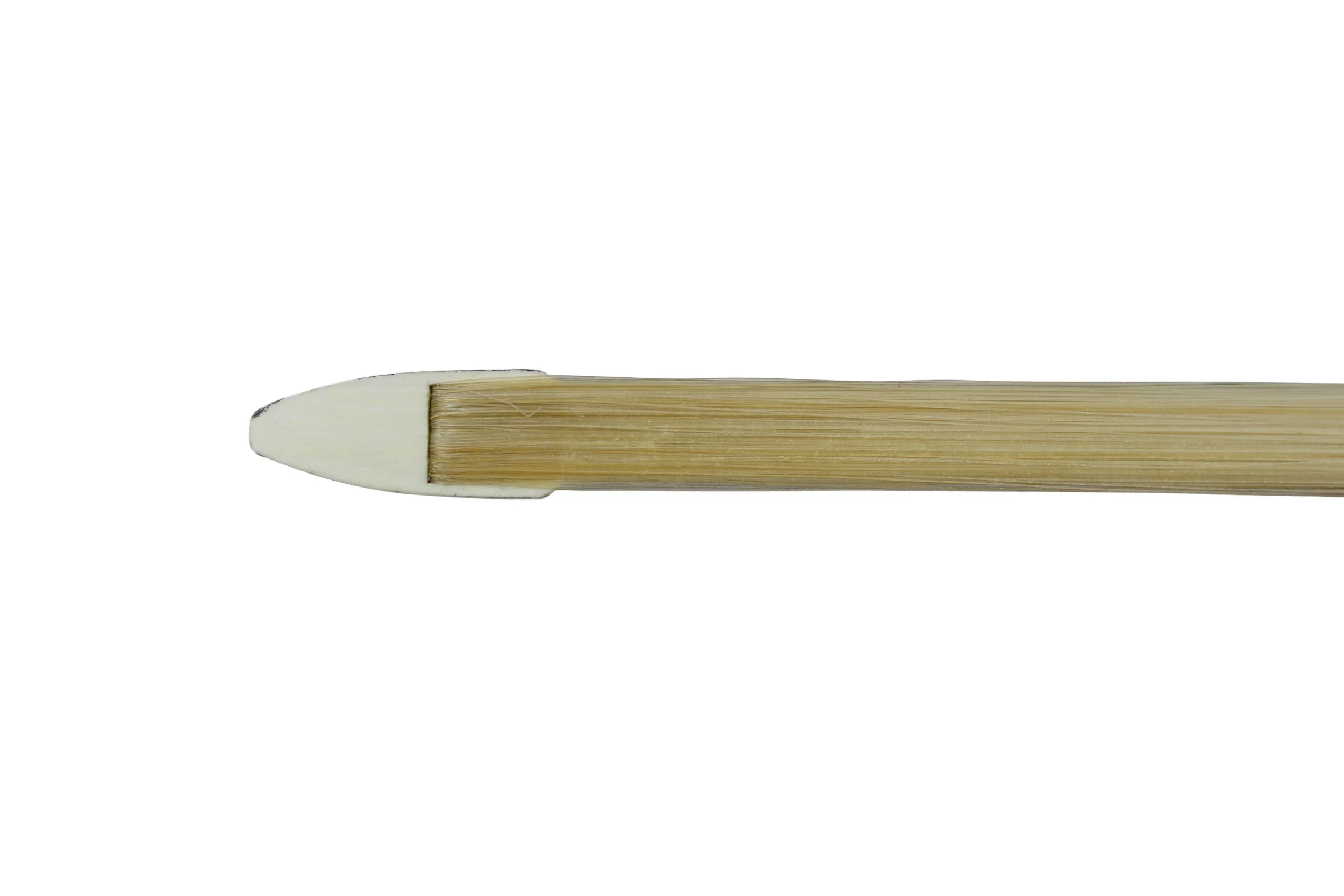 fg585-6.jpg