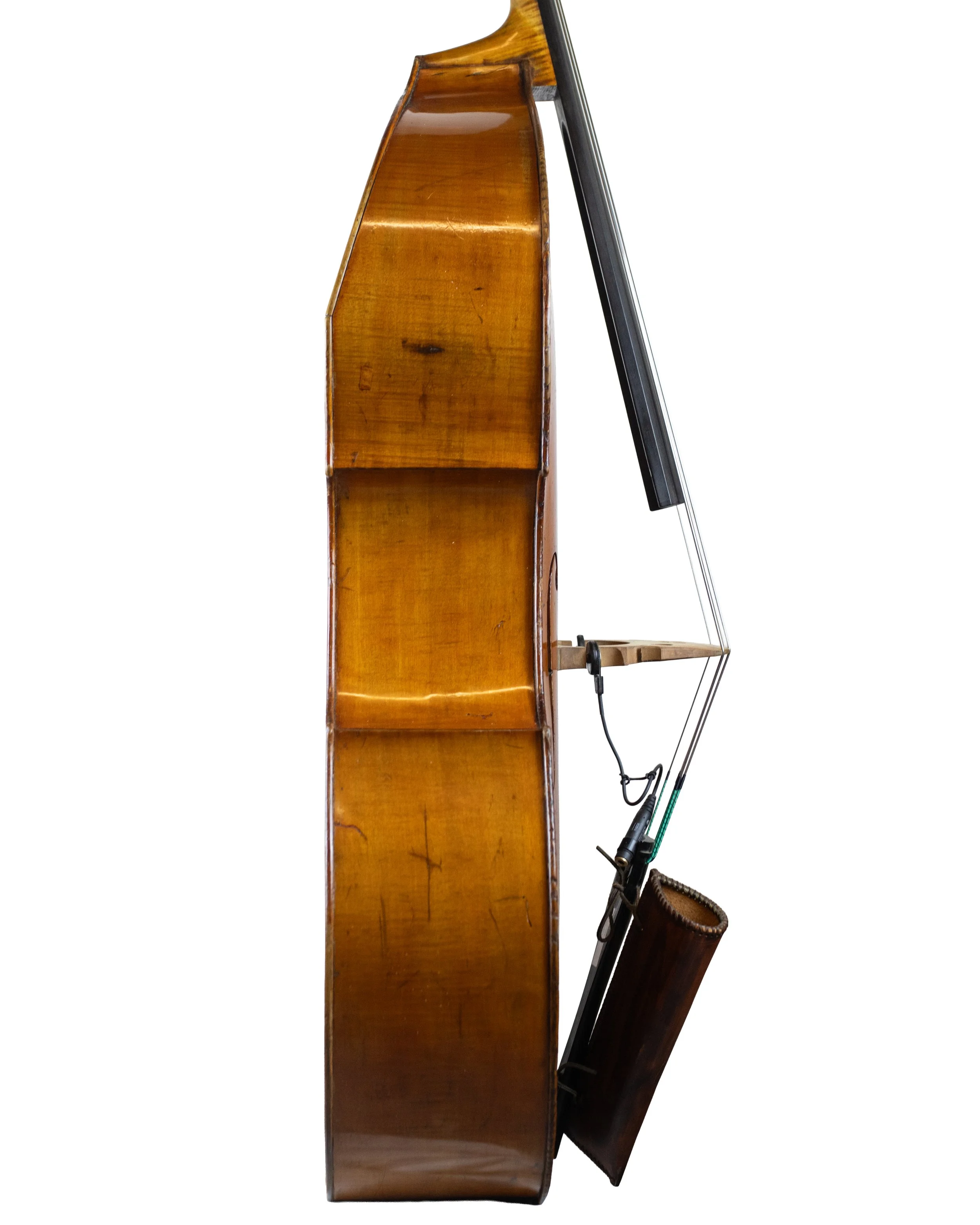 bass-15.jpg
