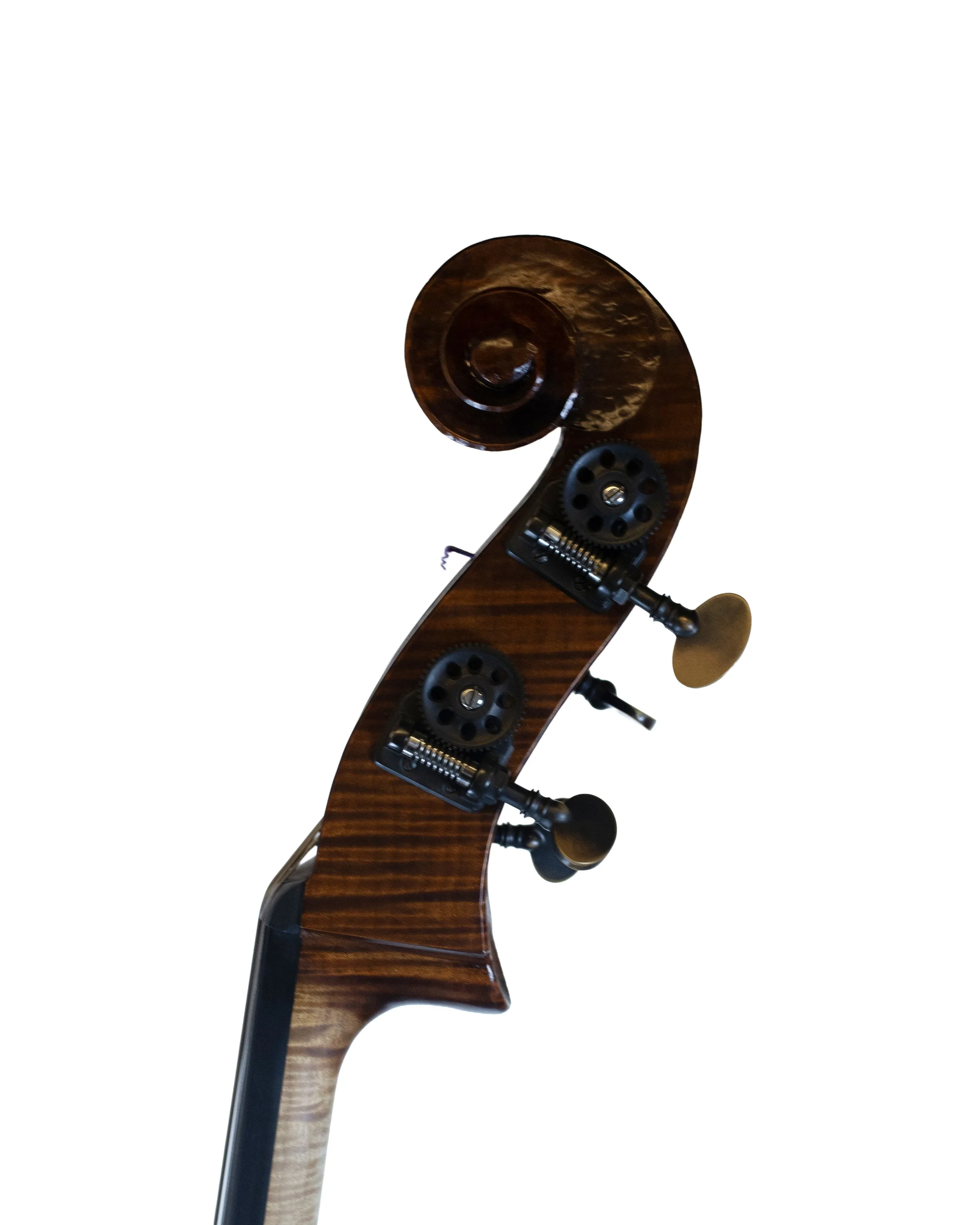 bass-58.jpg