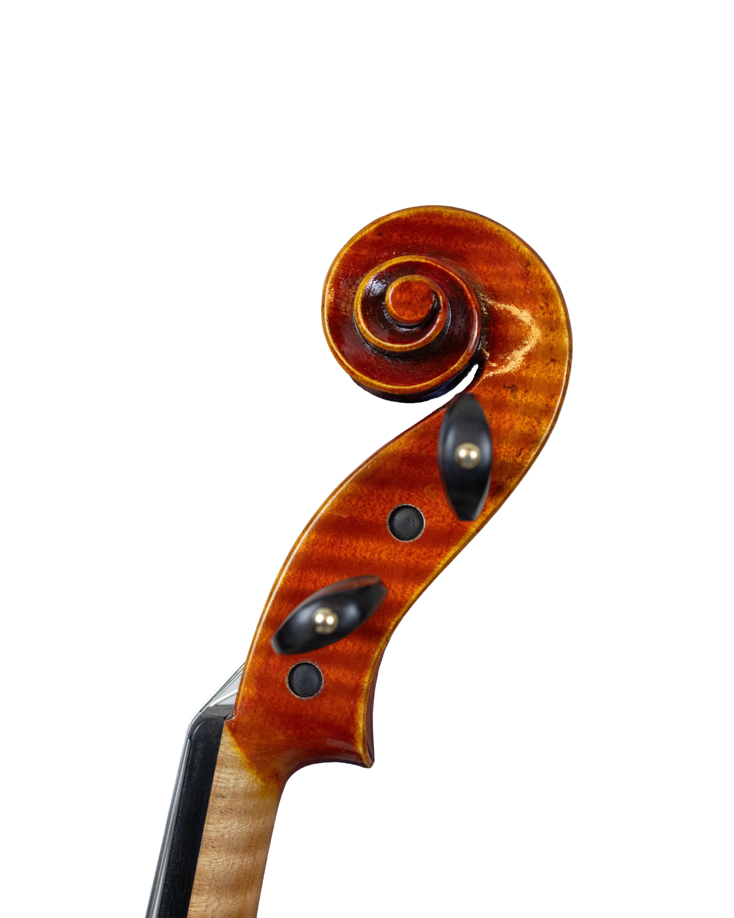 fredrich wyss-04.jpg