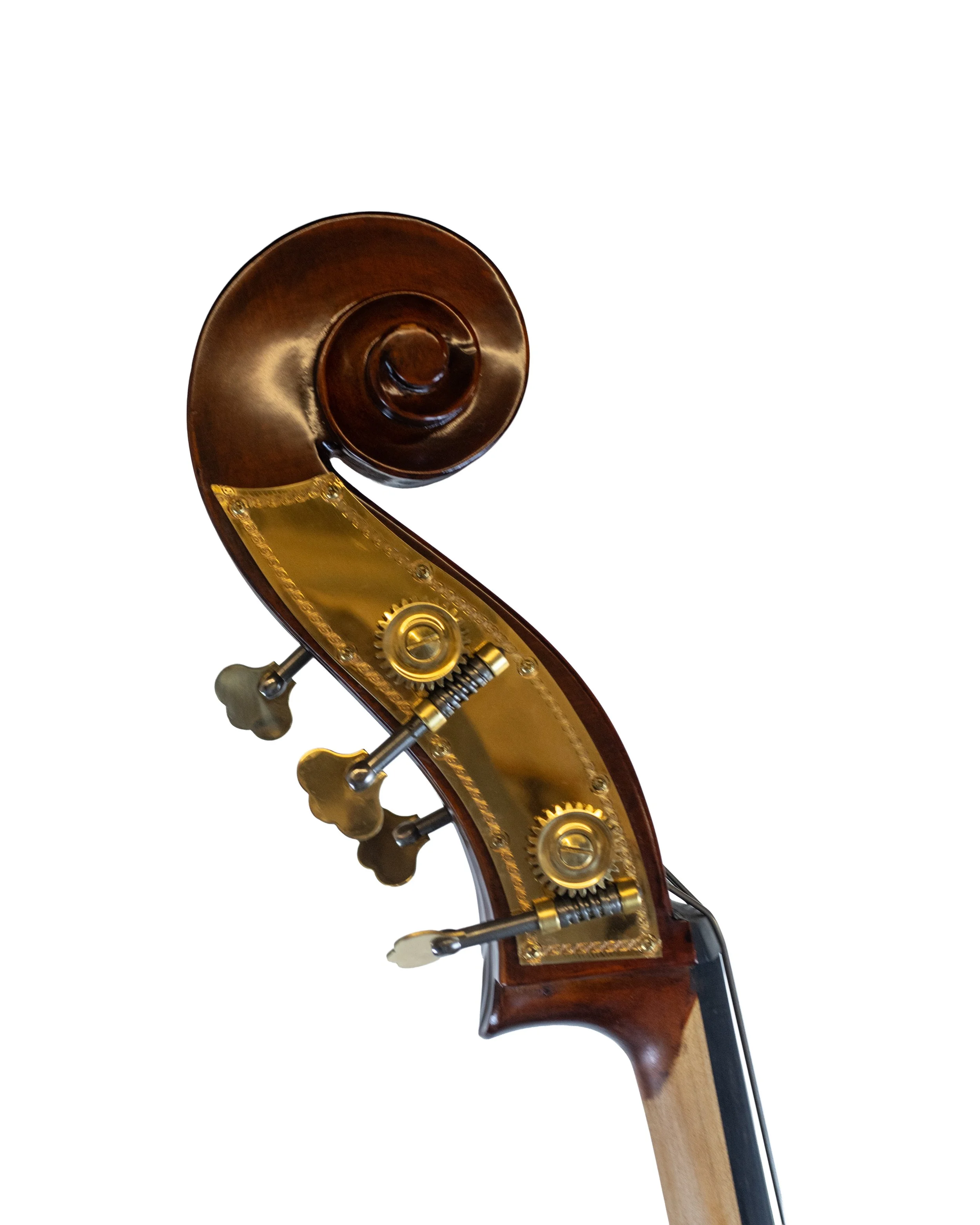 bass-23.jpg