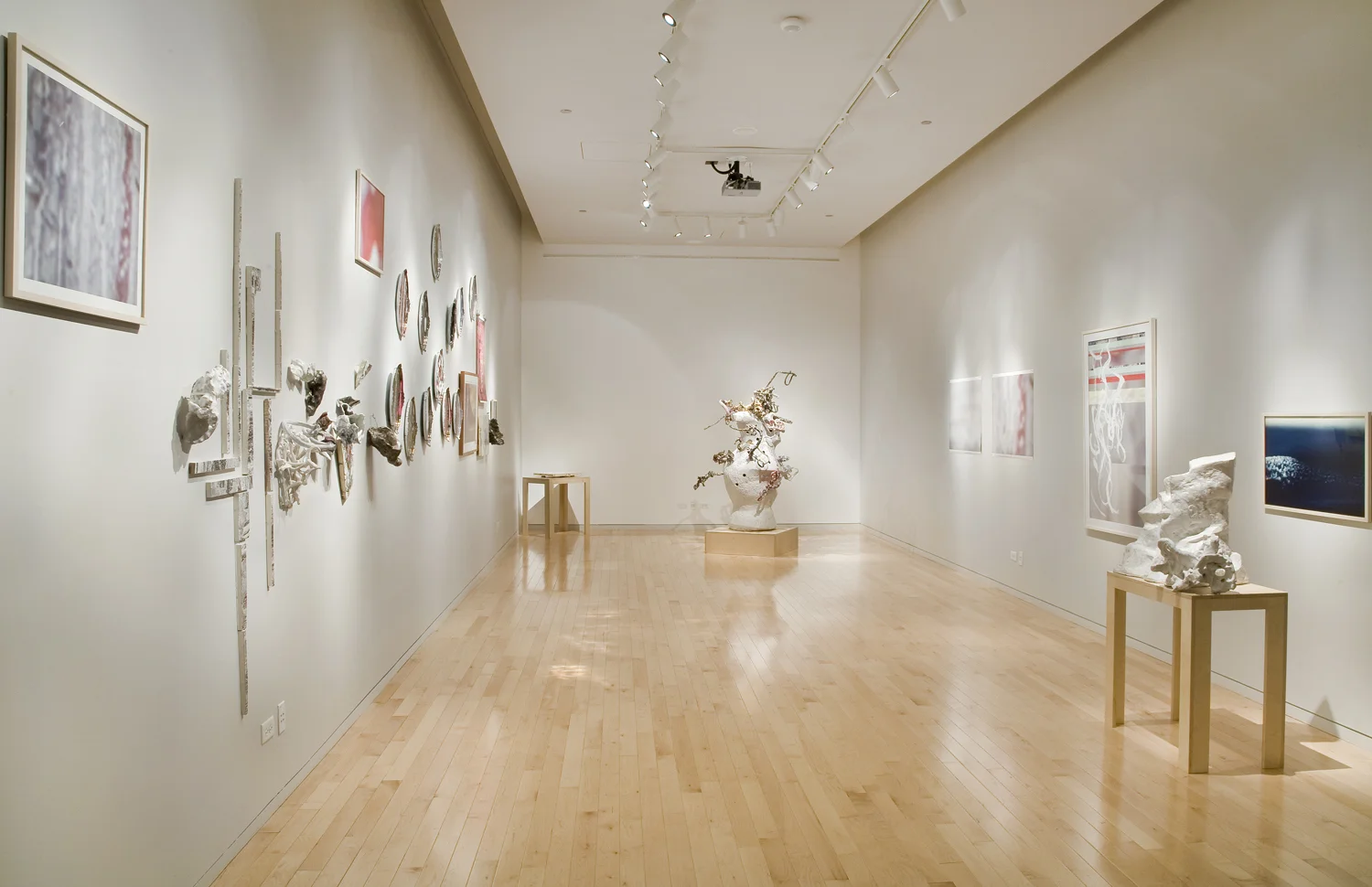 Lustre, Instituto Cervantes Chicago 2009, exhibitions