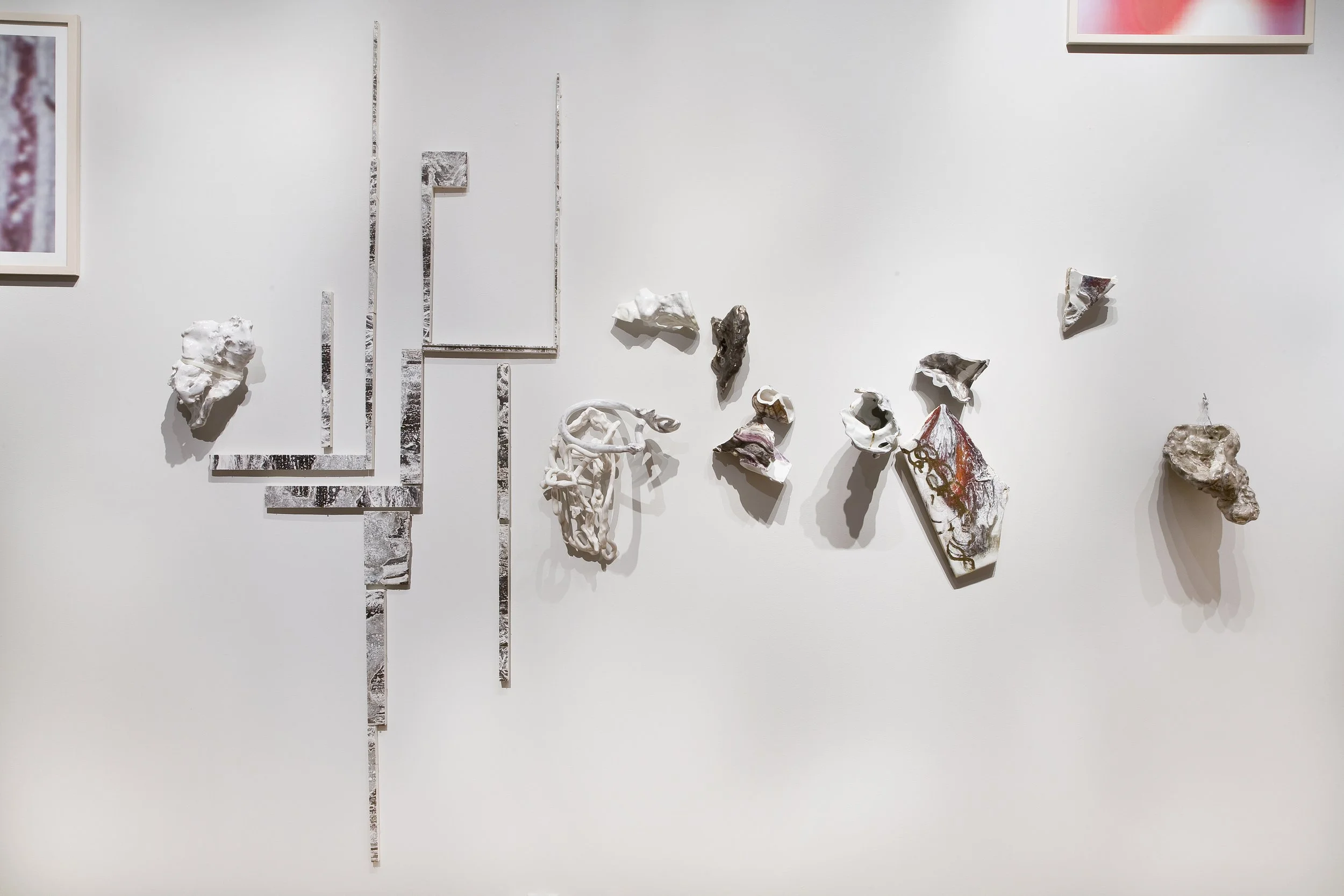 Cervantes, Chicago, 2009