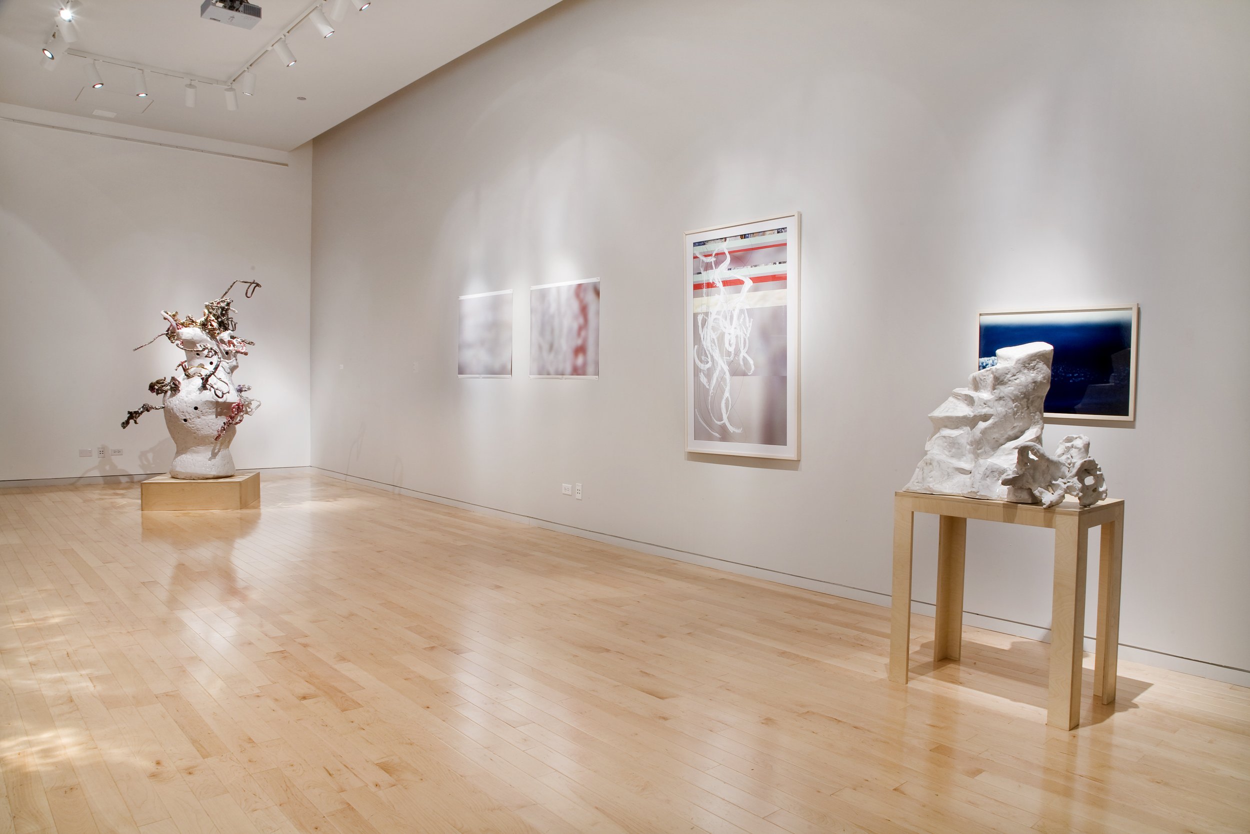 Descriptions , Cervantes, Chicago, 2009