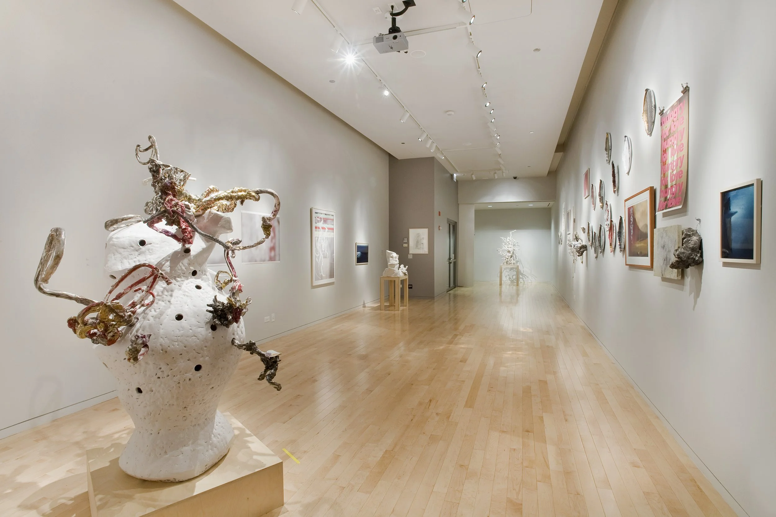 Description, Cervantes, Chicago; 2009