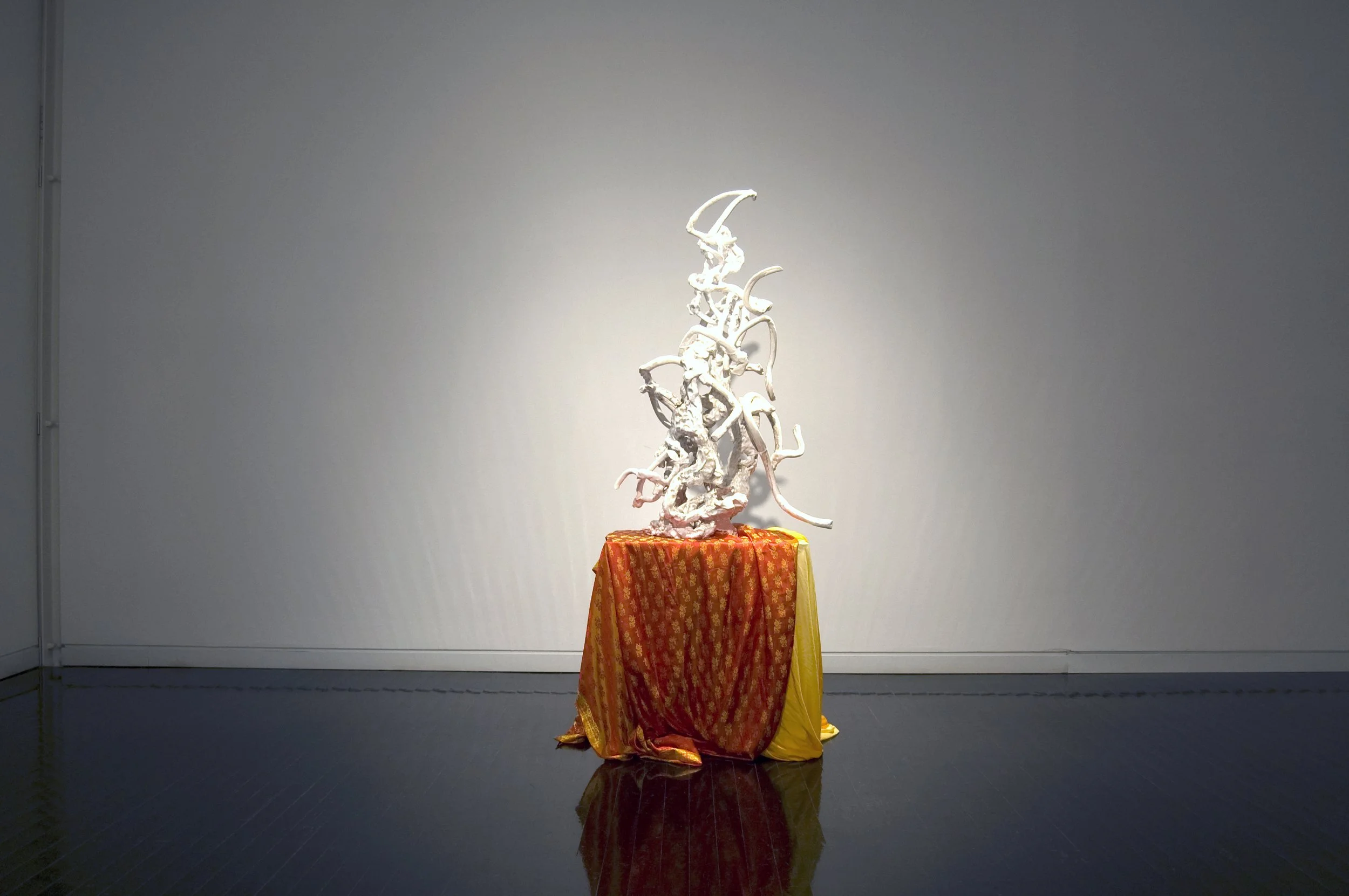 Description 2008; Elmhurst Art Museum 