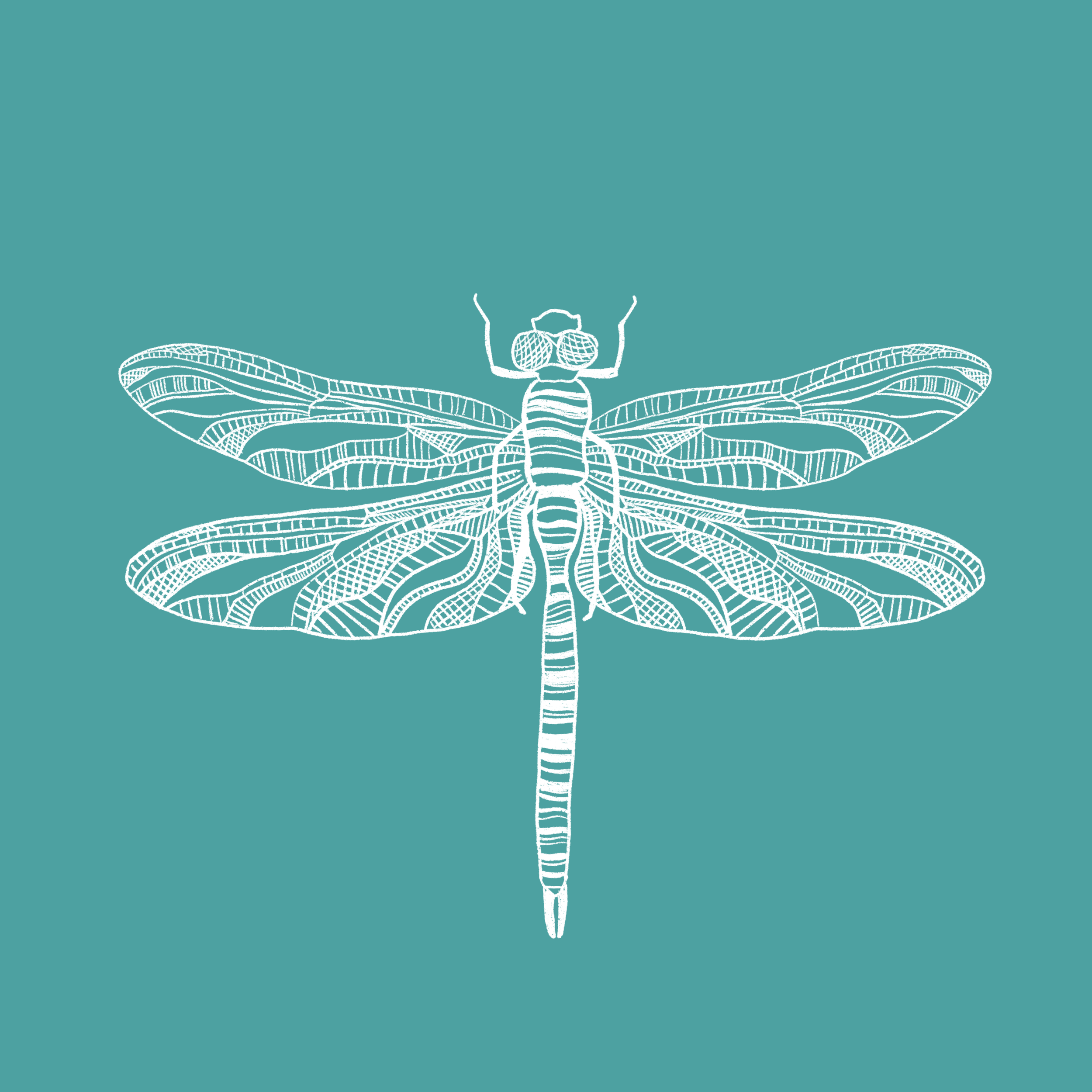 Untitled_Artwork 12.PNG